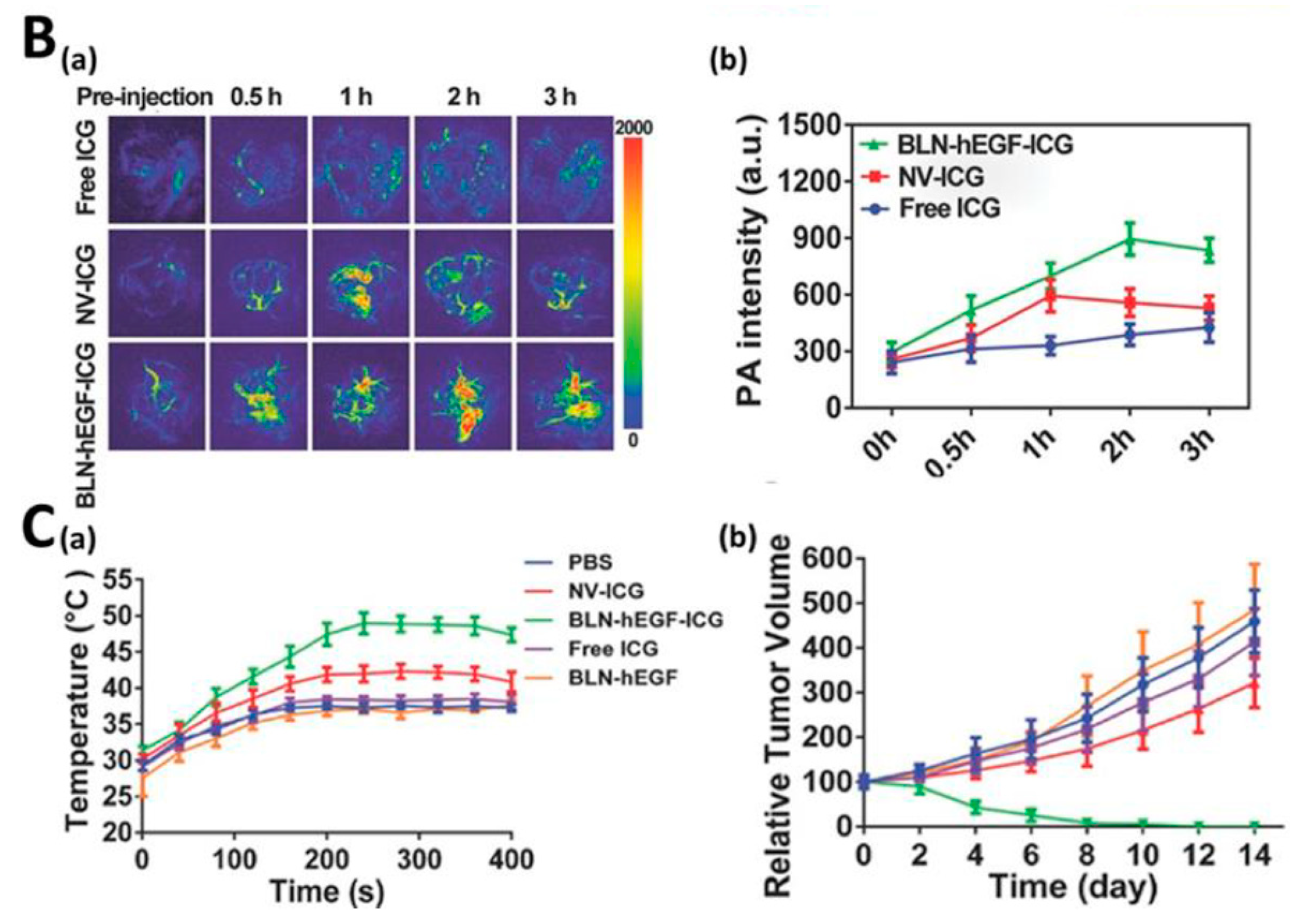 Pharmaceutics 11 00543 g001b