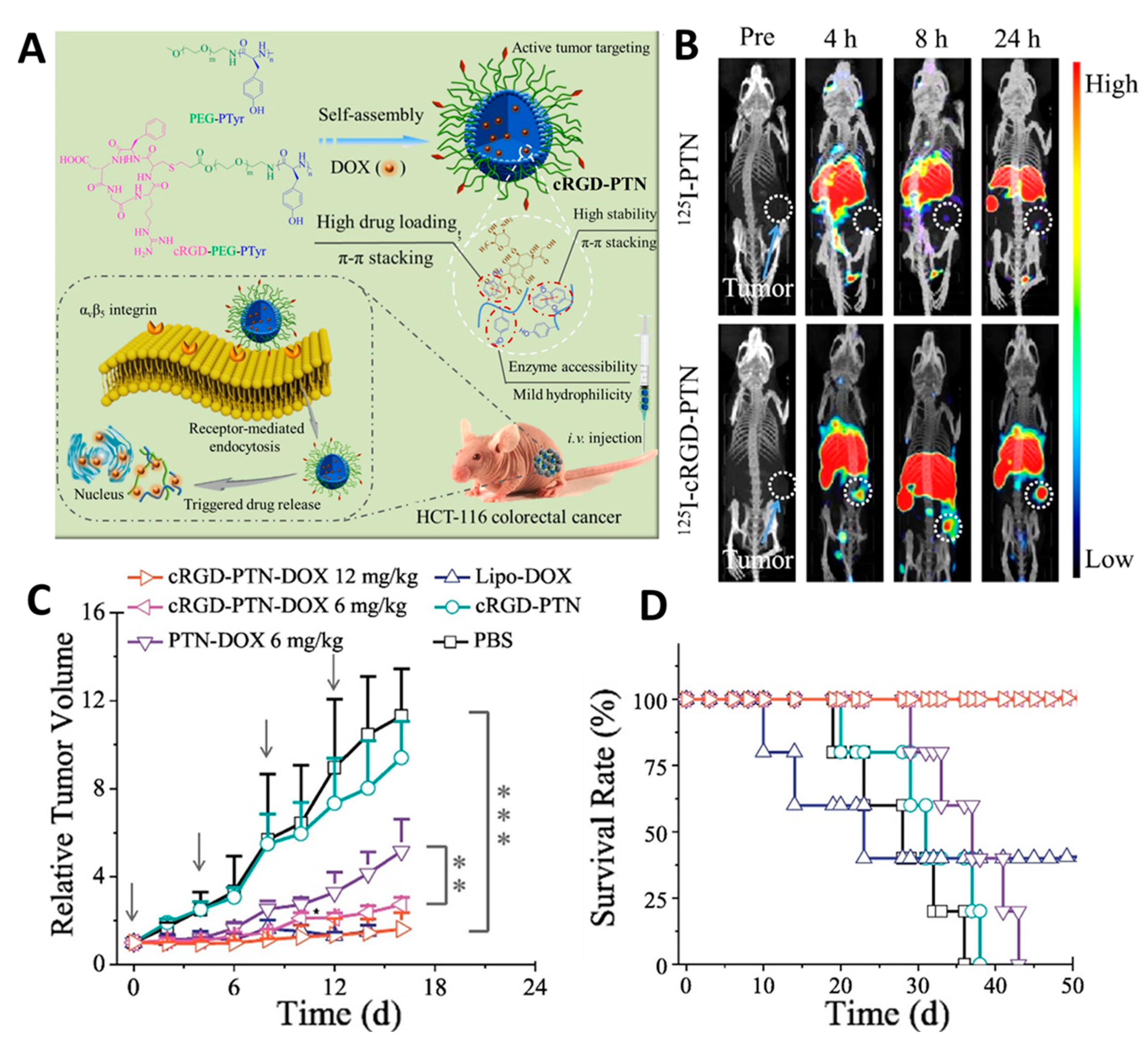 Pharmaceutics 11 00543 g002