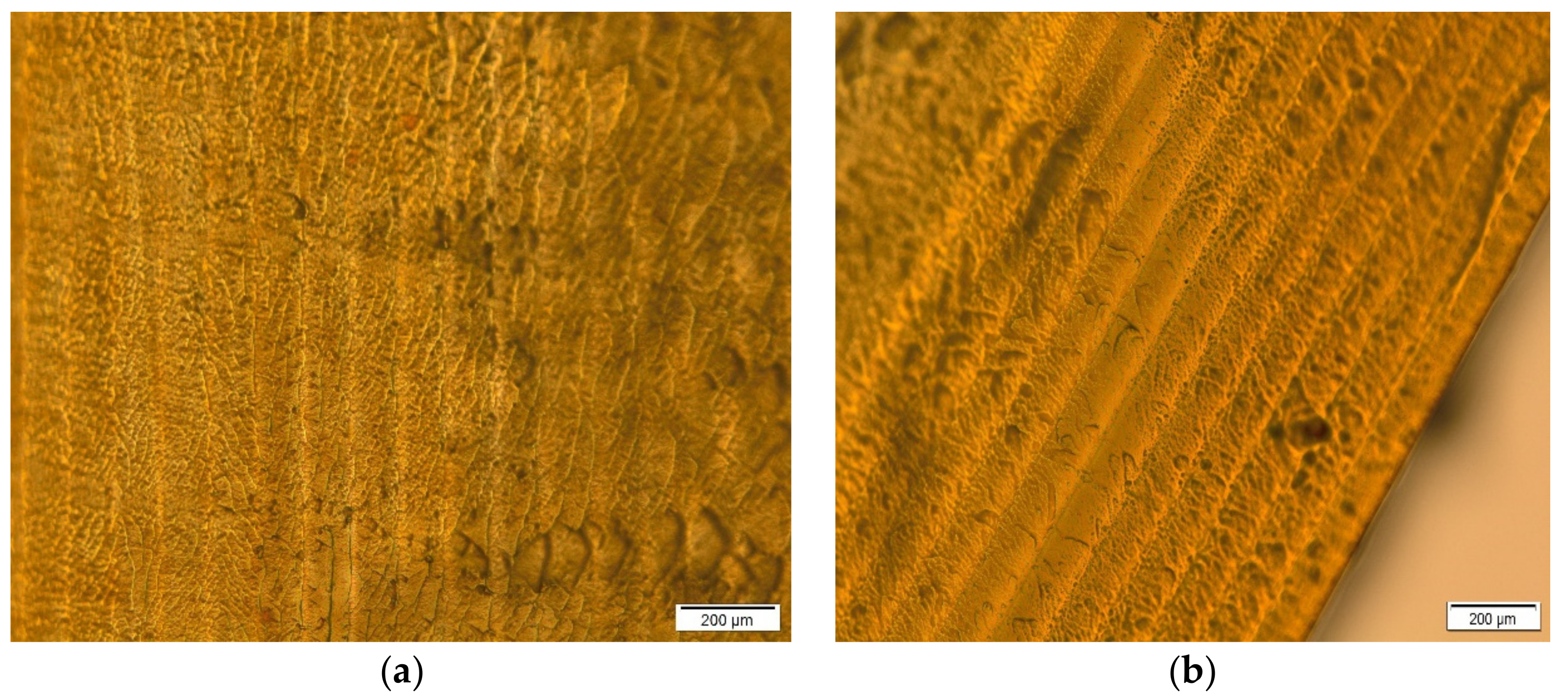 Pharmaceutics 11 00544 g008 Pharmaceutics 11 00544 g008