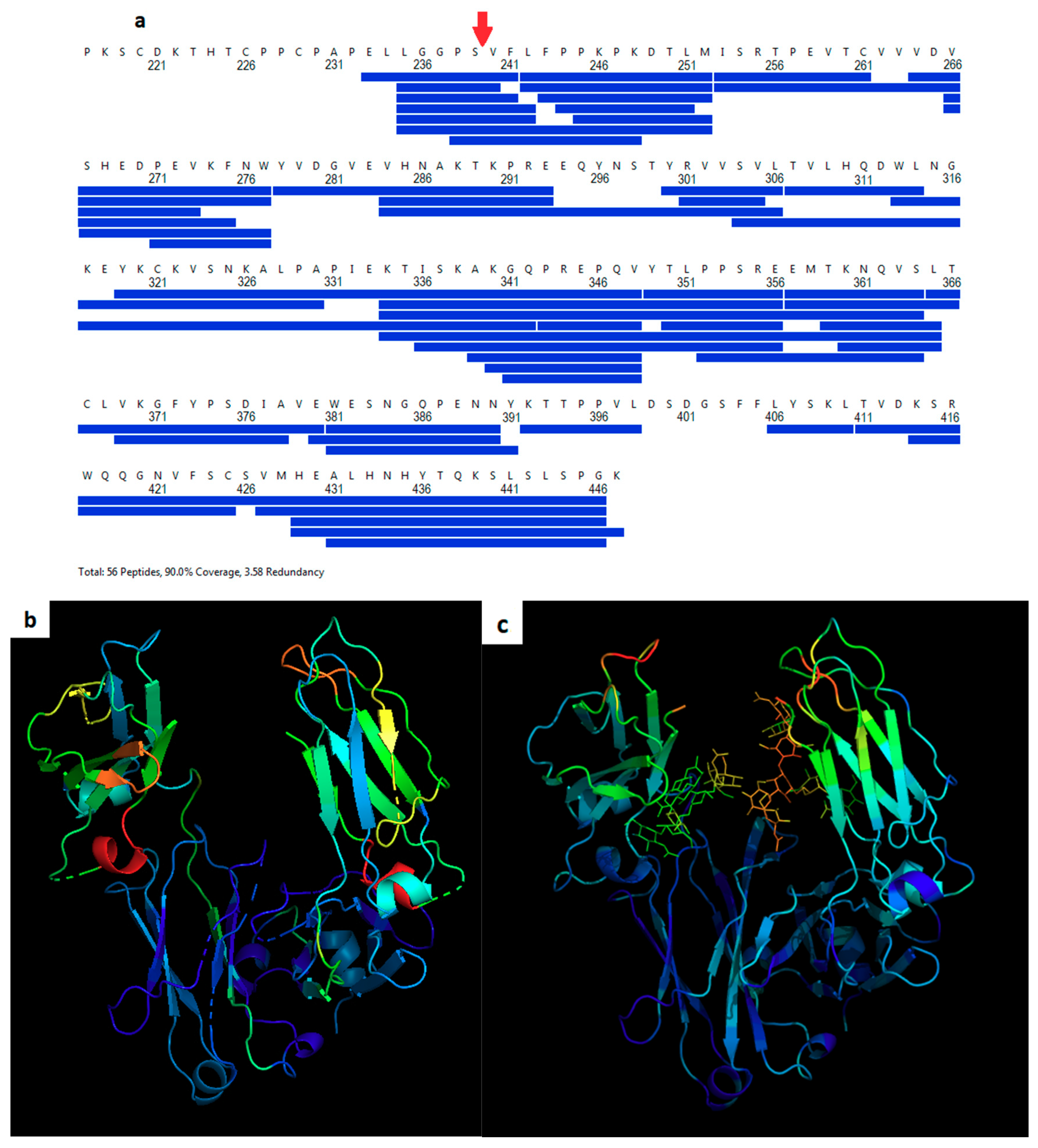 Pharmaceutics 11 00546 g002