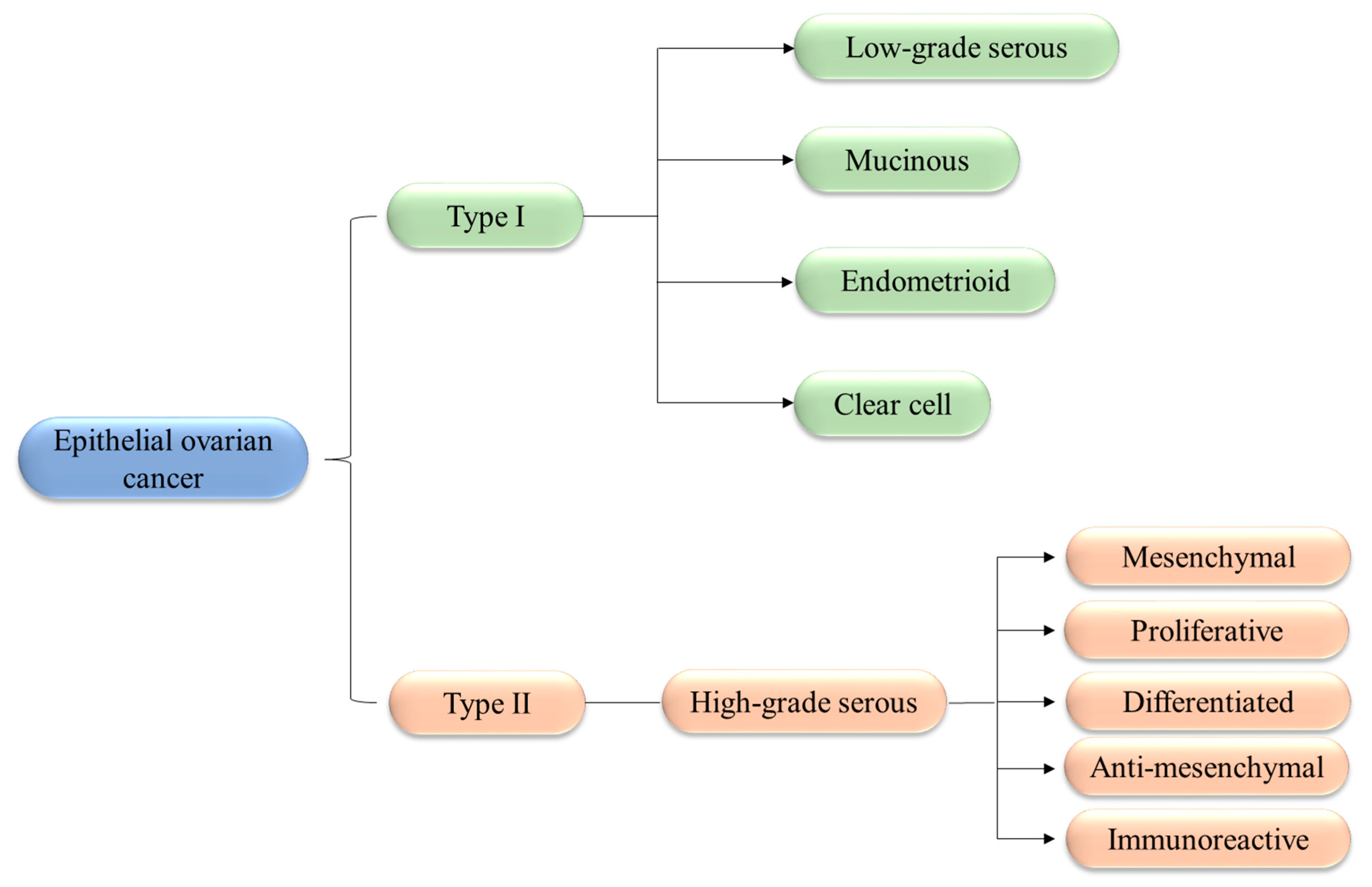 Pharmaceutics 11 00547 g001