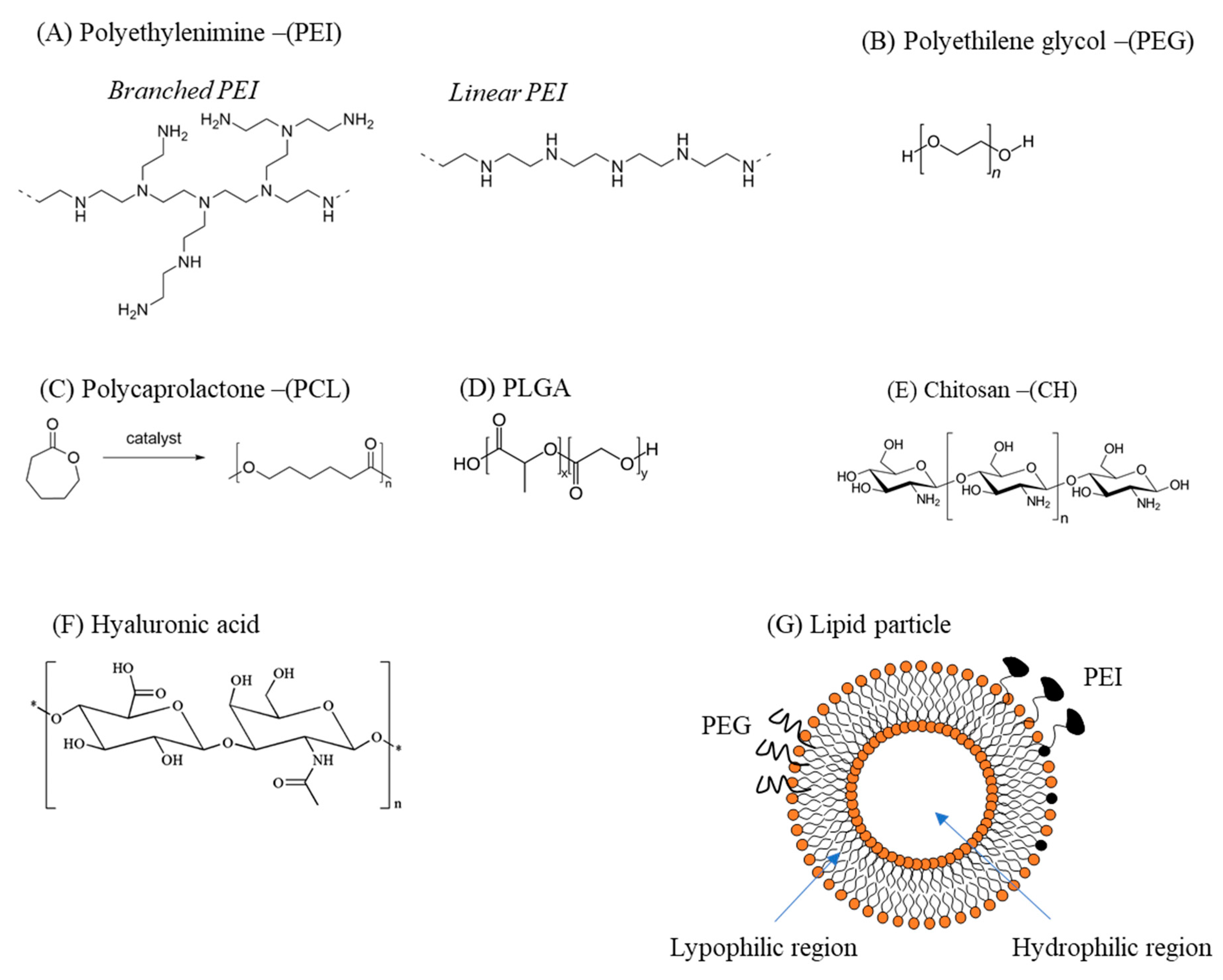 Pharmaceutics 11 00547 g005