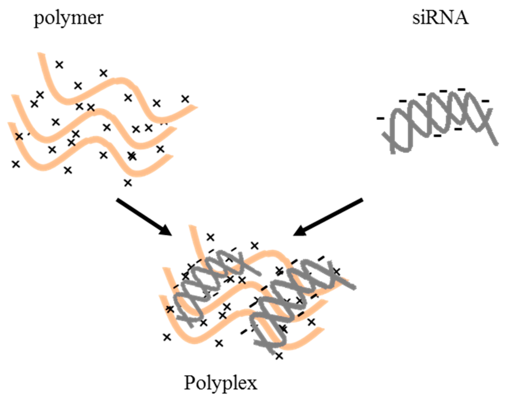 Pharmaceutics 11 00547 g006