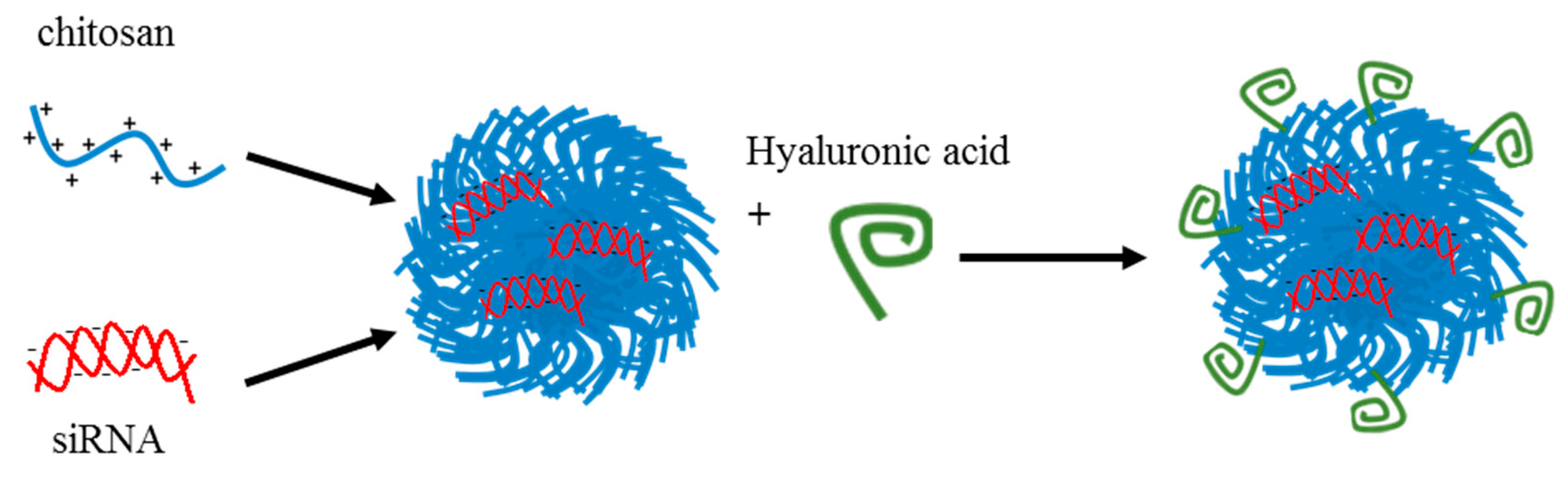 Pharmaceutics 11 00547 g007