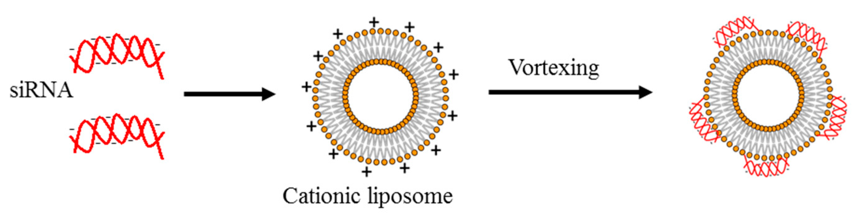 Pharmaceutics 11 00547 g008