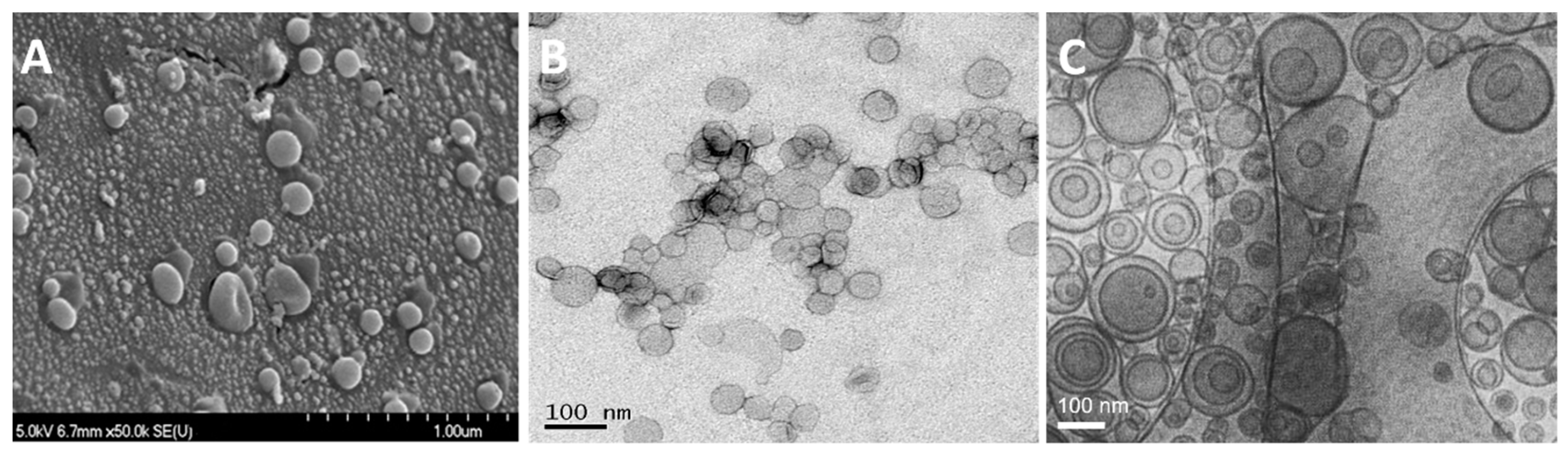 Pharmaceutics 11 00589 g006