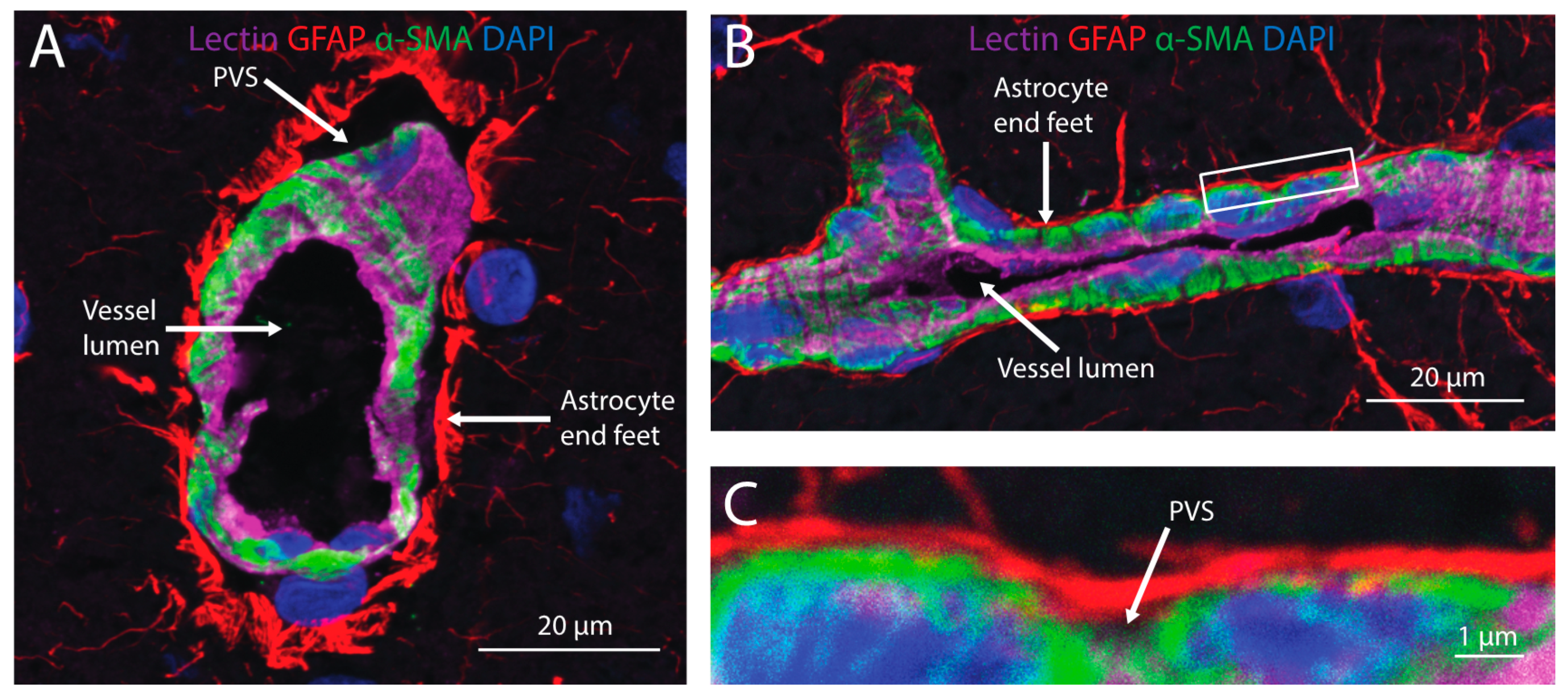 Pharmaceutics 11 00598 g003