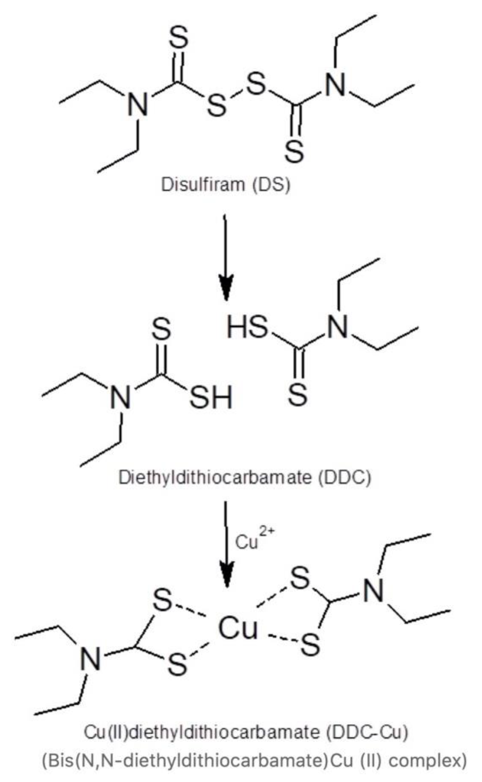 Pharmaceutics 11 00610 g001 Pharmaceutics 11 00610 g001