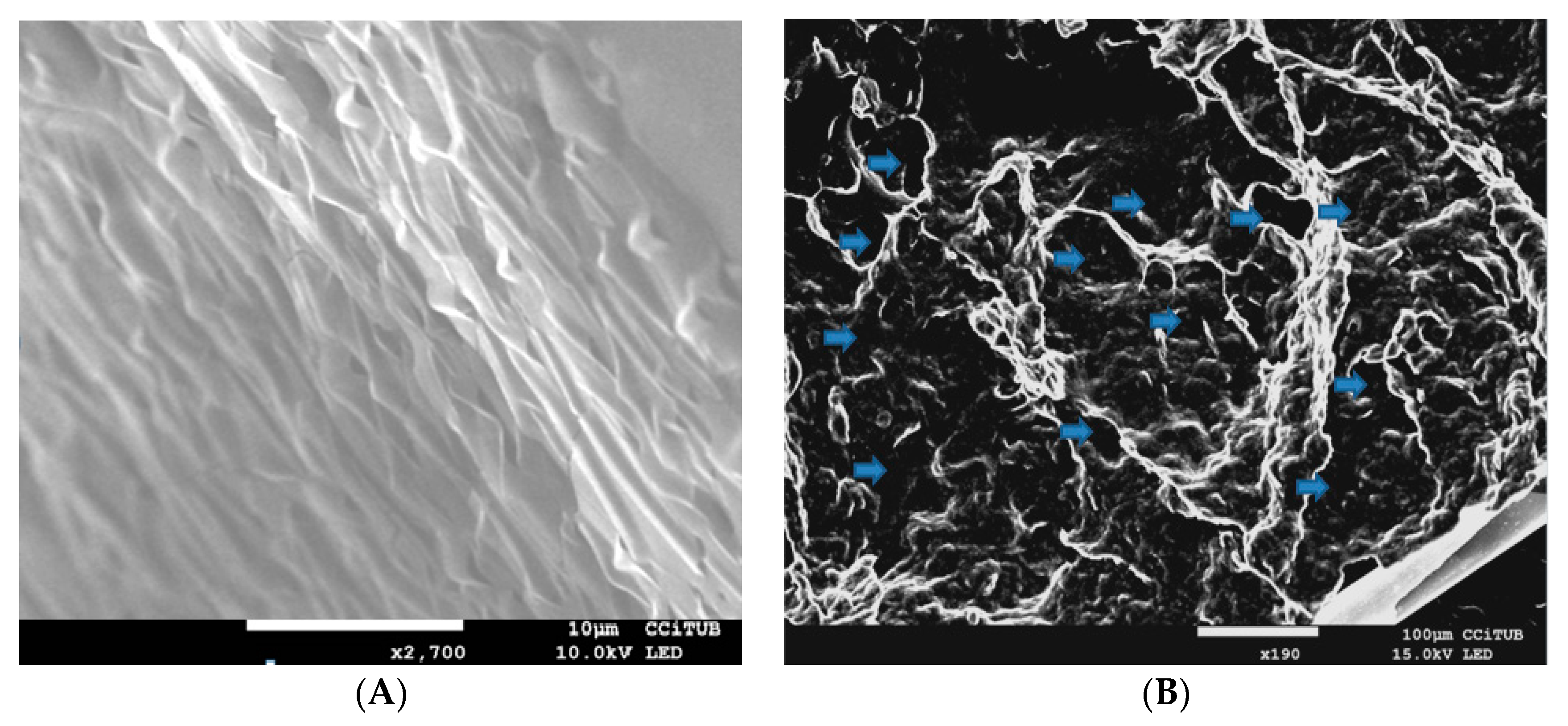 Pharmaceutics 11 00613 g001
