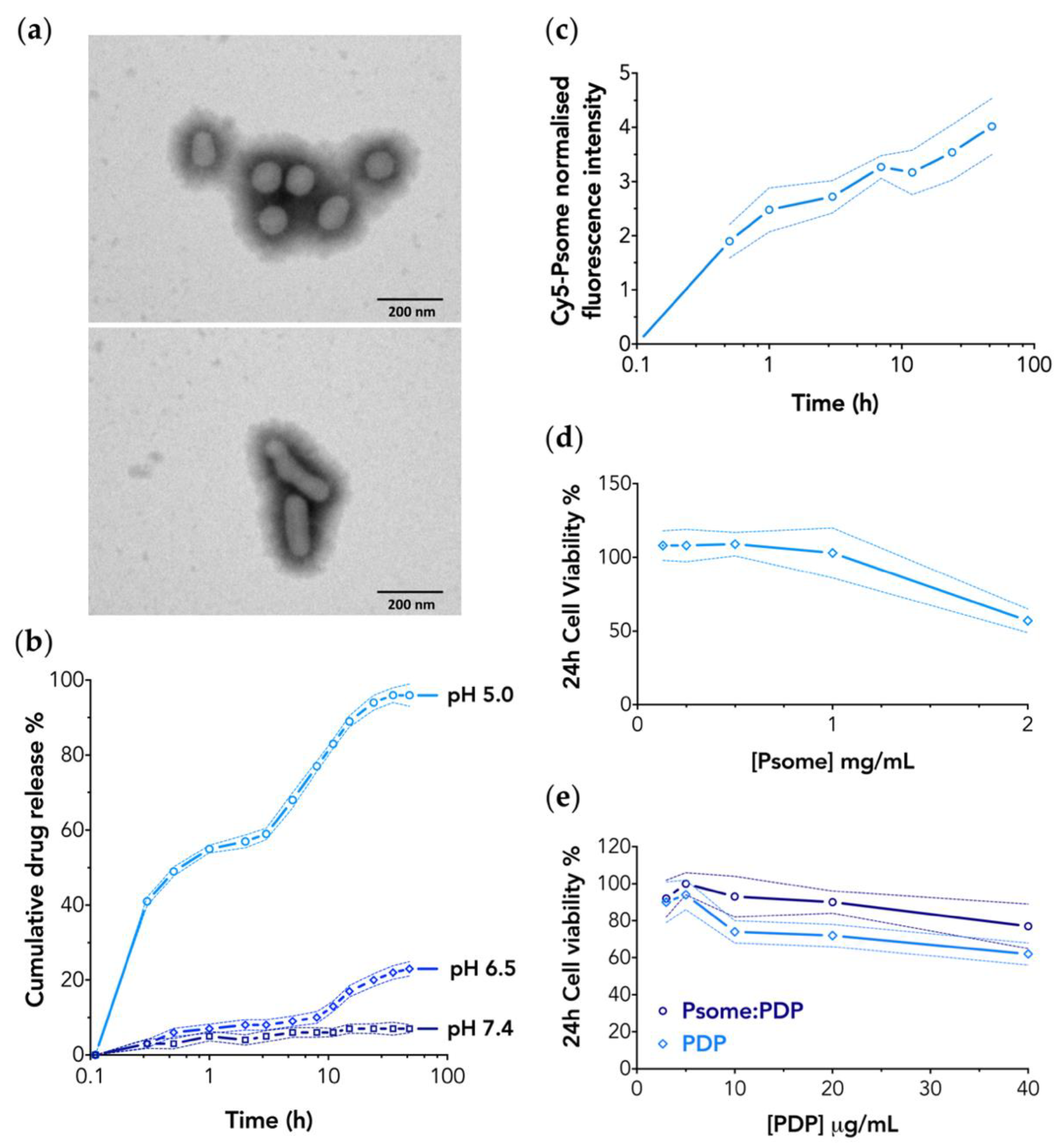 Pharmaceutics 11 00614 g001