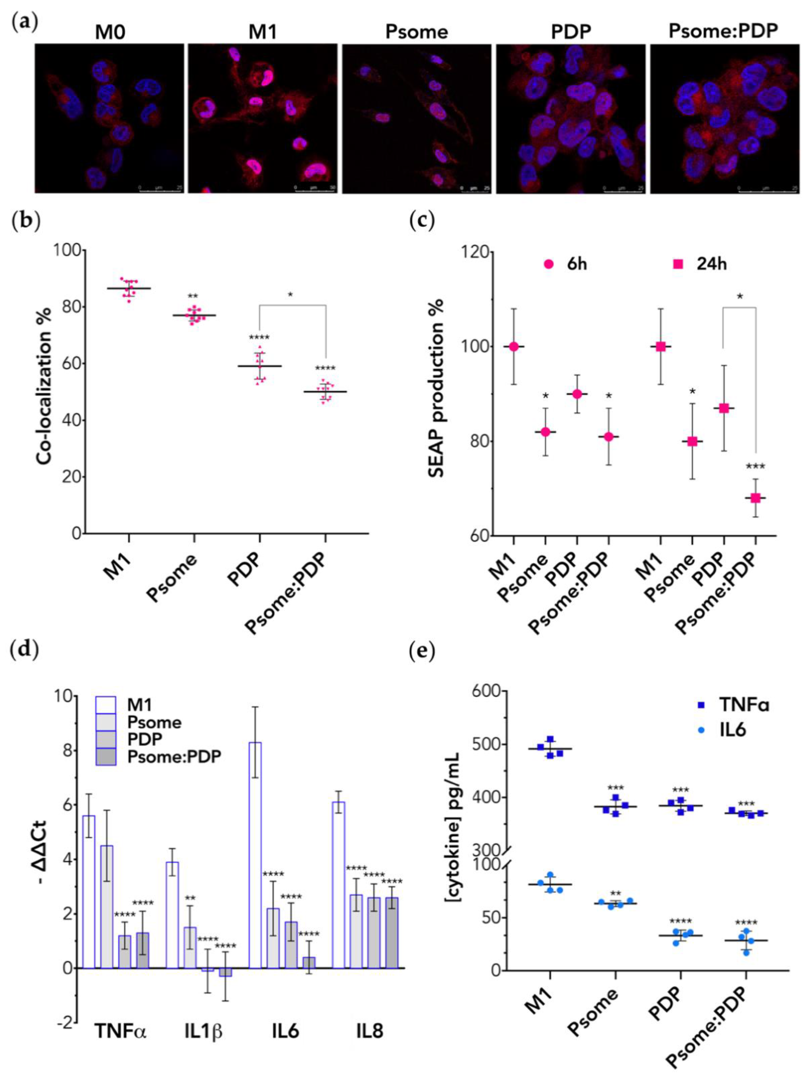 Pharmaceutics 11 00614 g003