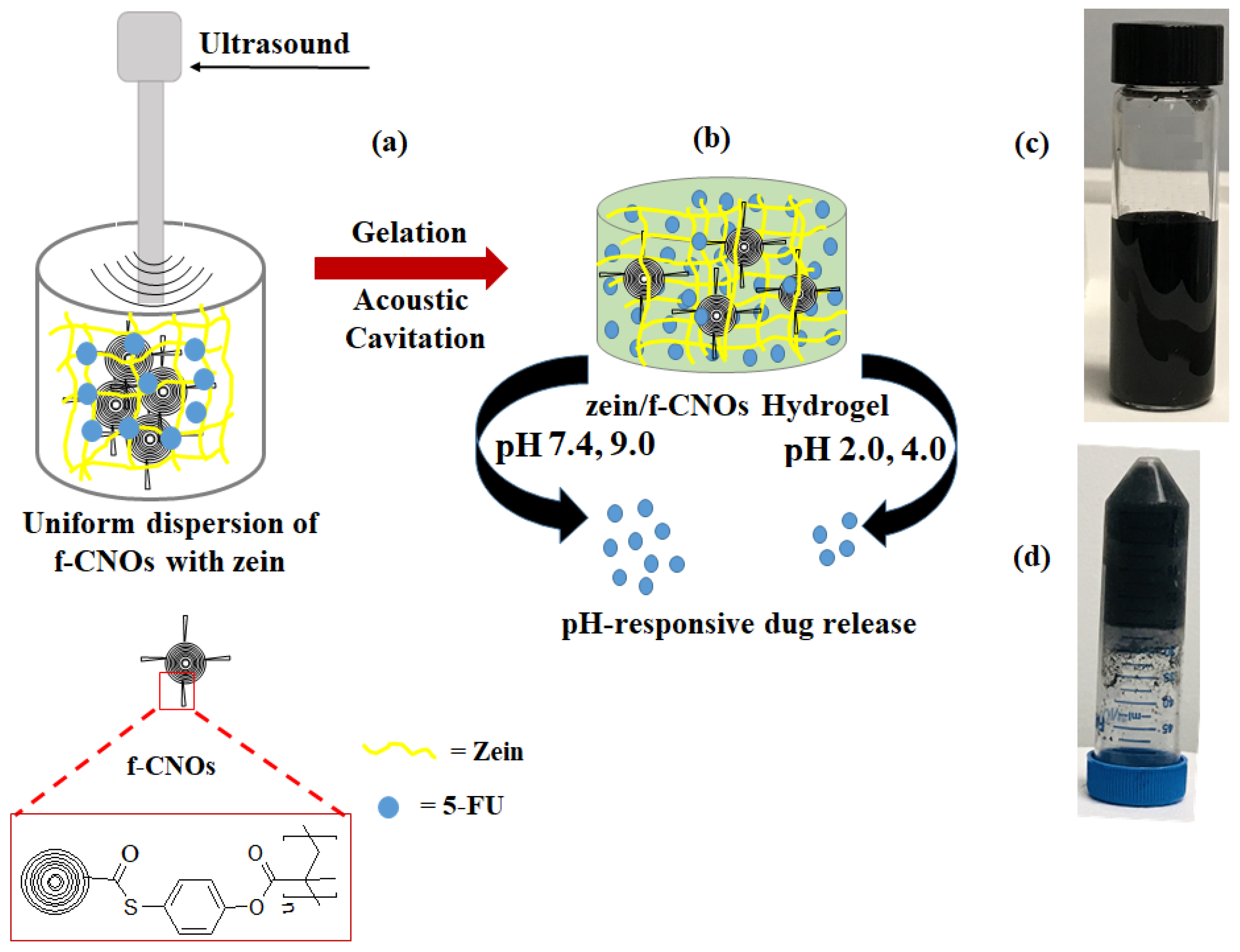 Pharmaceutics 11 00621 g001