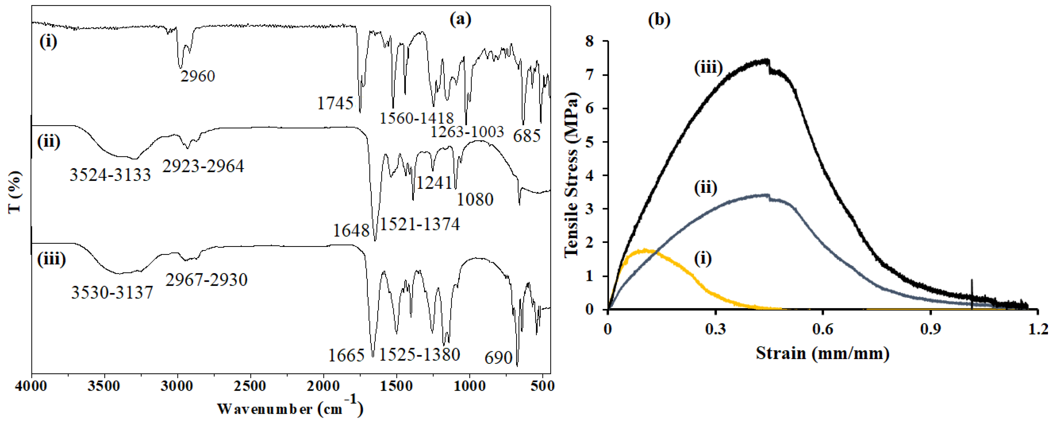 Pharmaceutics 11 00621 g004