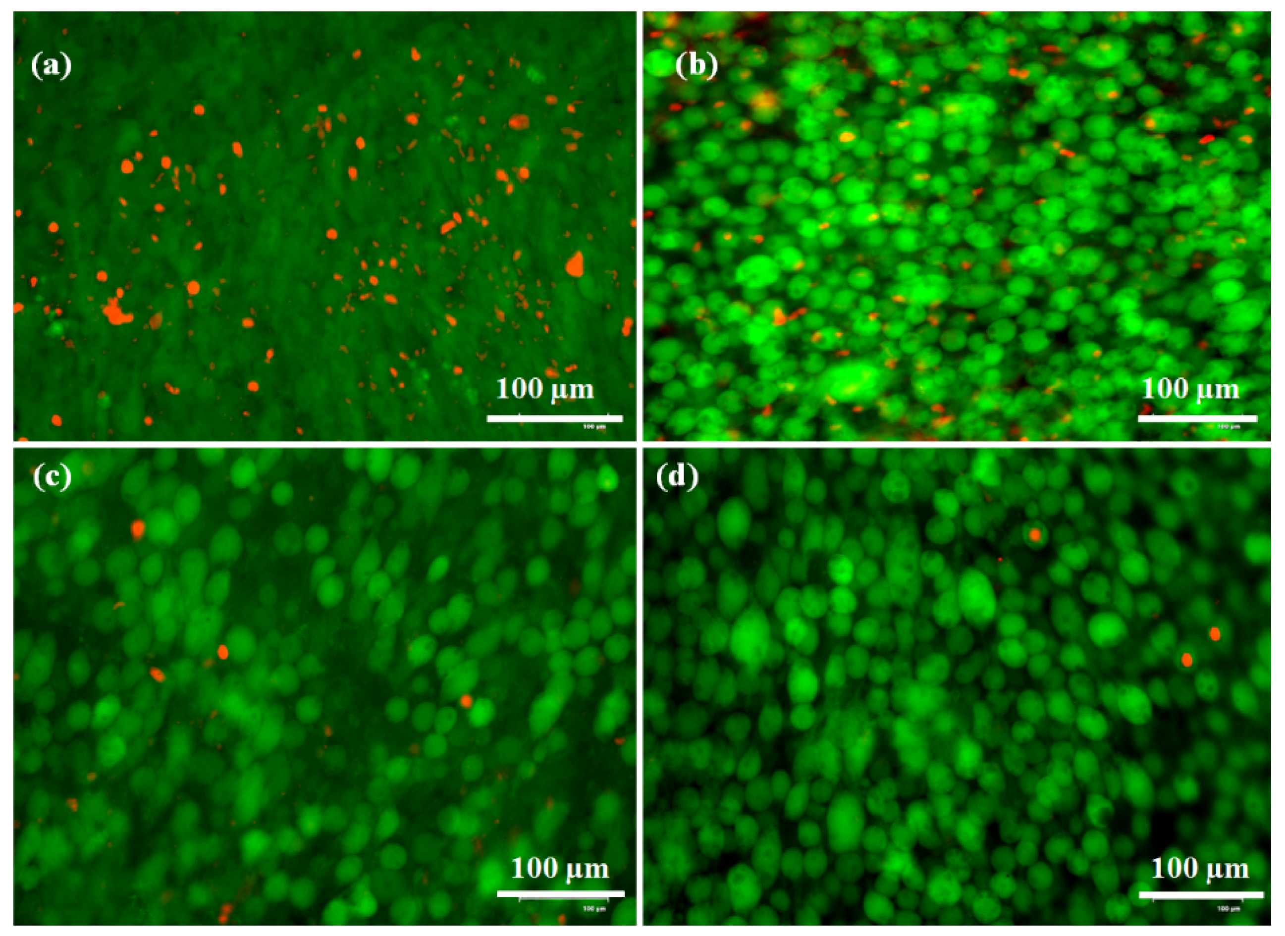 Pharmaceutics 11 00621 g008