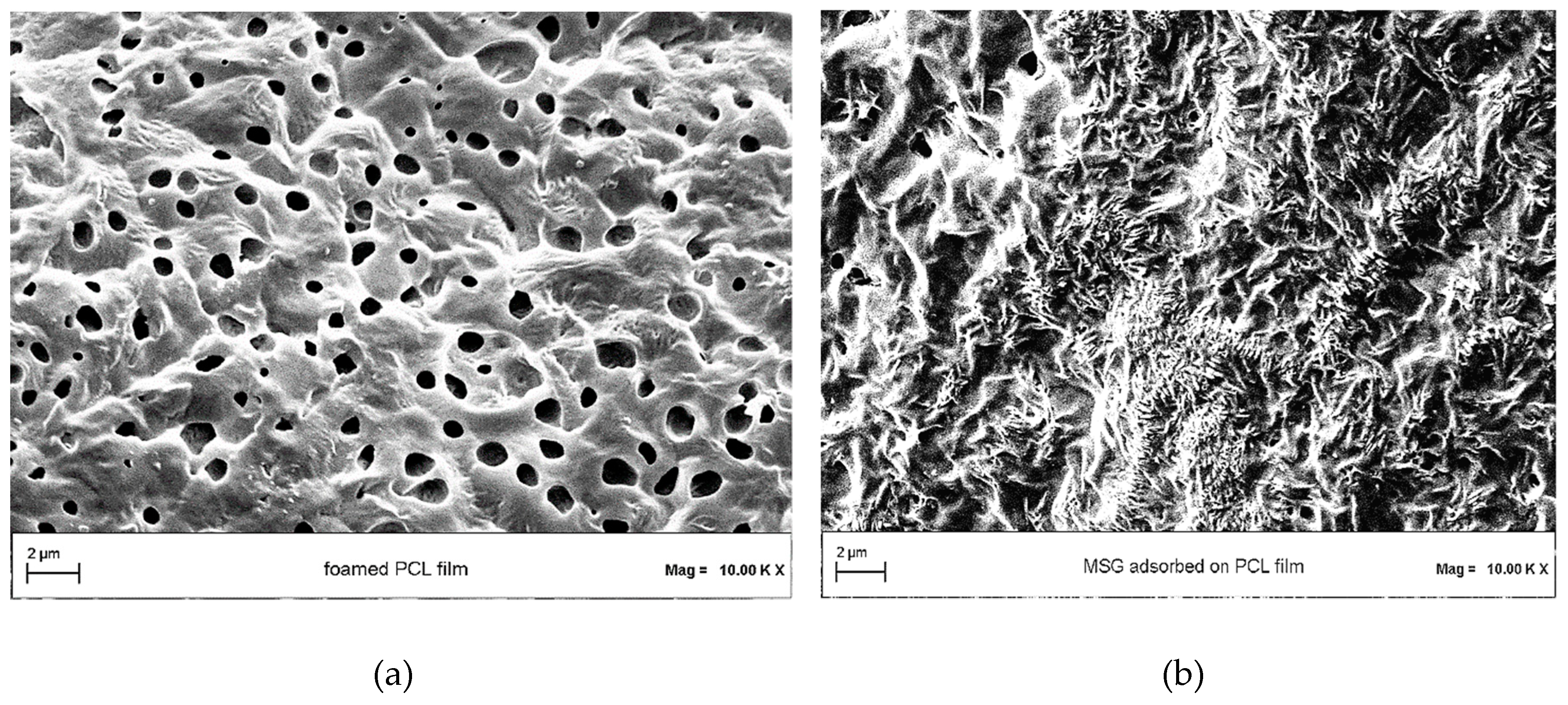 Pharmaceutics 11 00631 g006