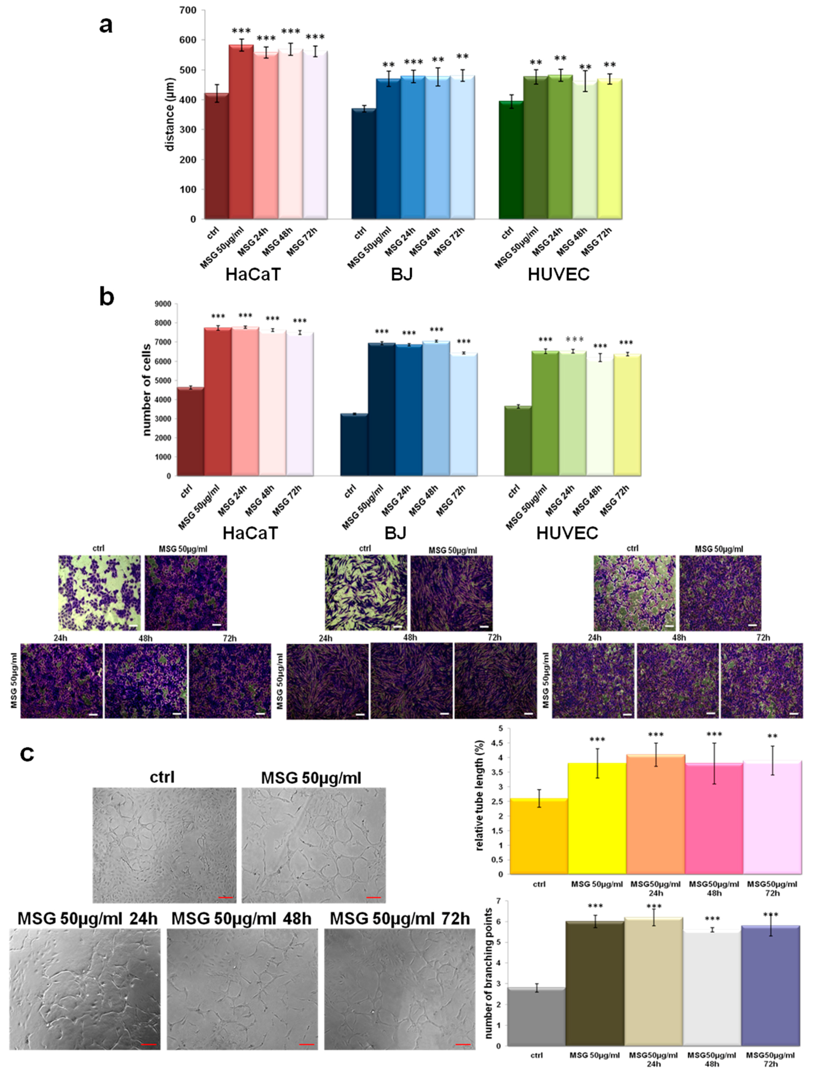 Pharmaceutics 11 00631 g011