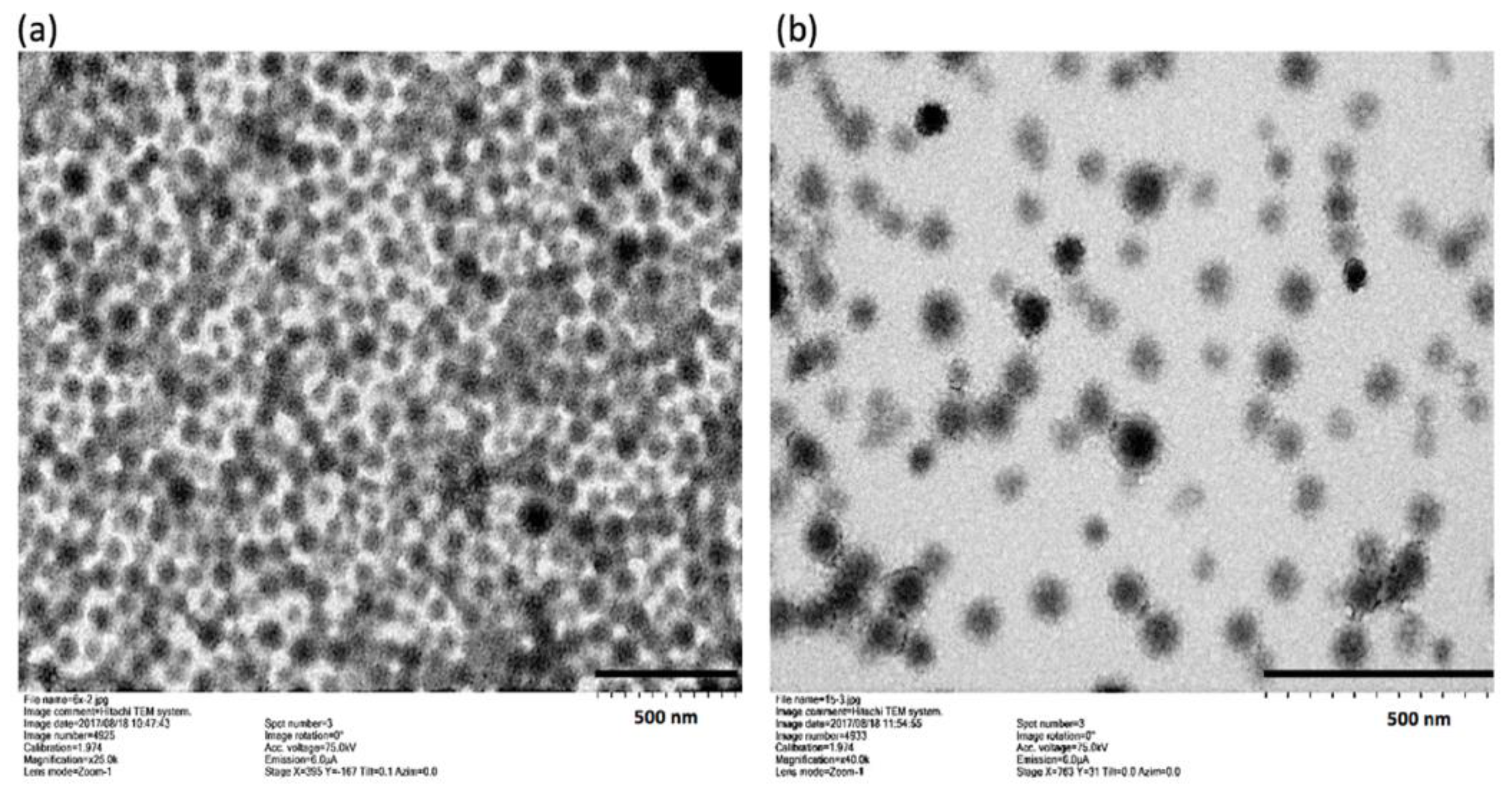 Pharmaceutics 11 00635 g002a