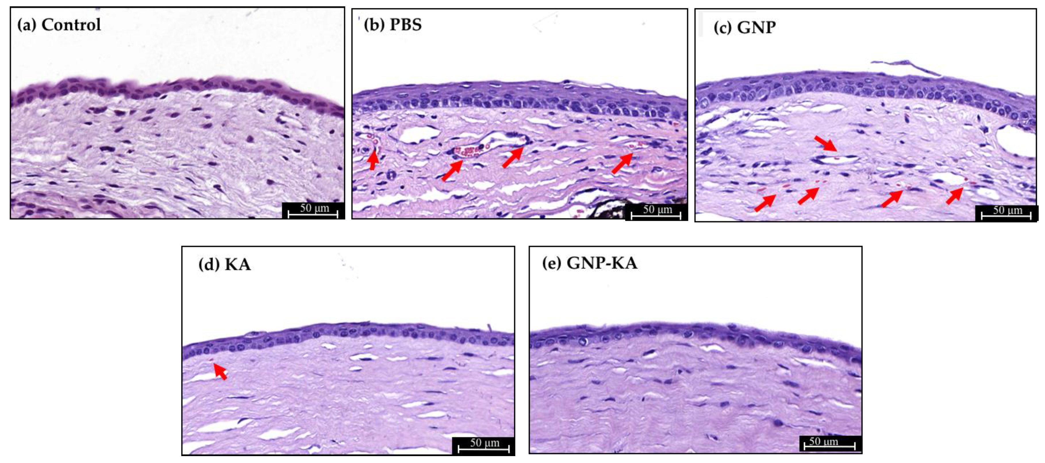 Pharmaceutics 11 00635 g007