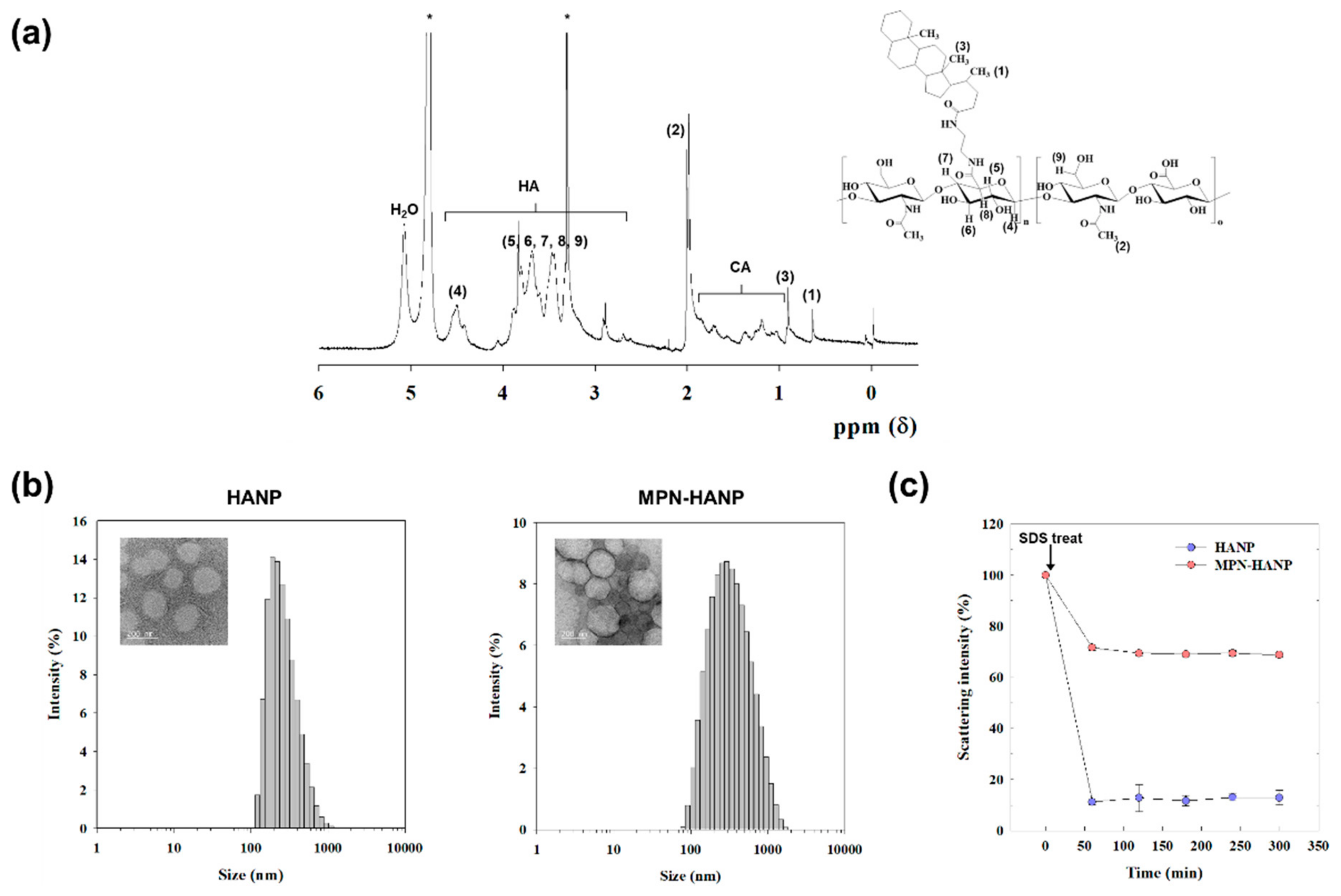 Pharmaceutics 11 00636 g002