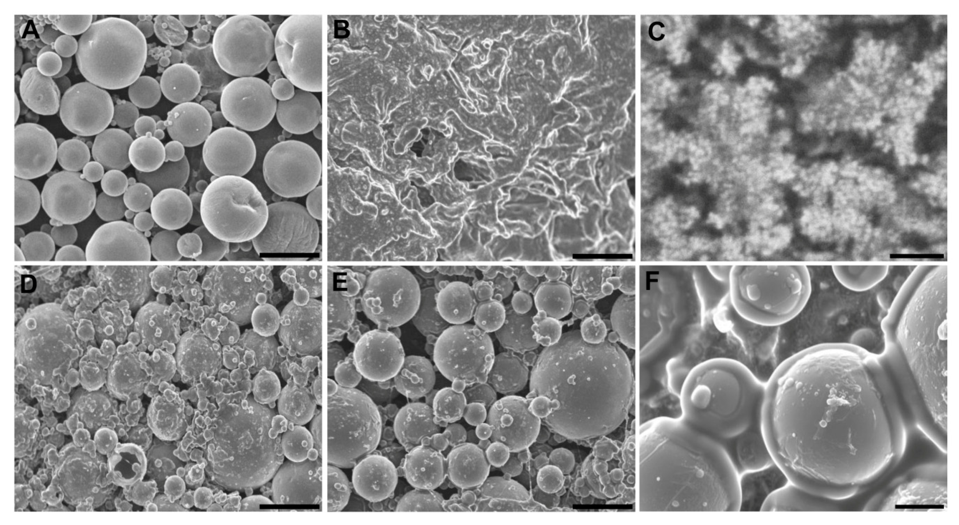 Pharmaceutics 11 00648 g001 Pharmaceutics 11 00648 g001