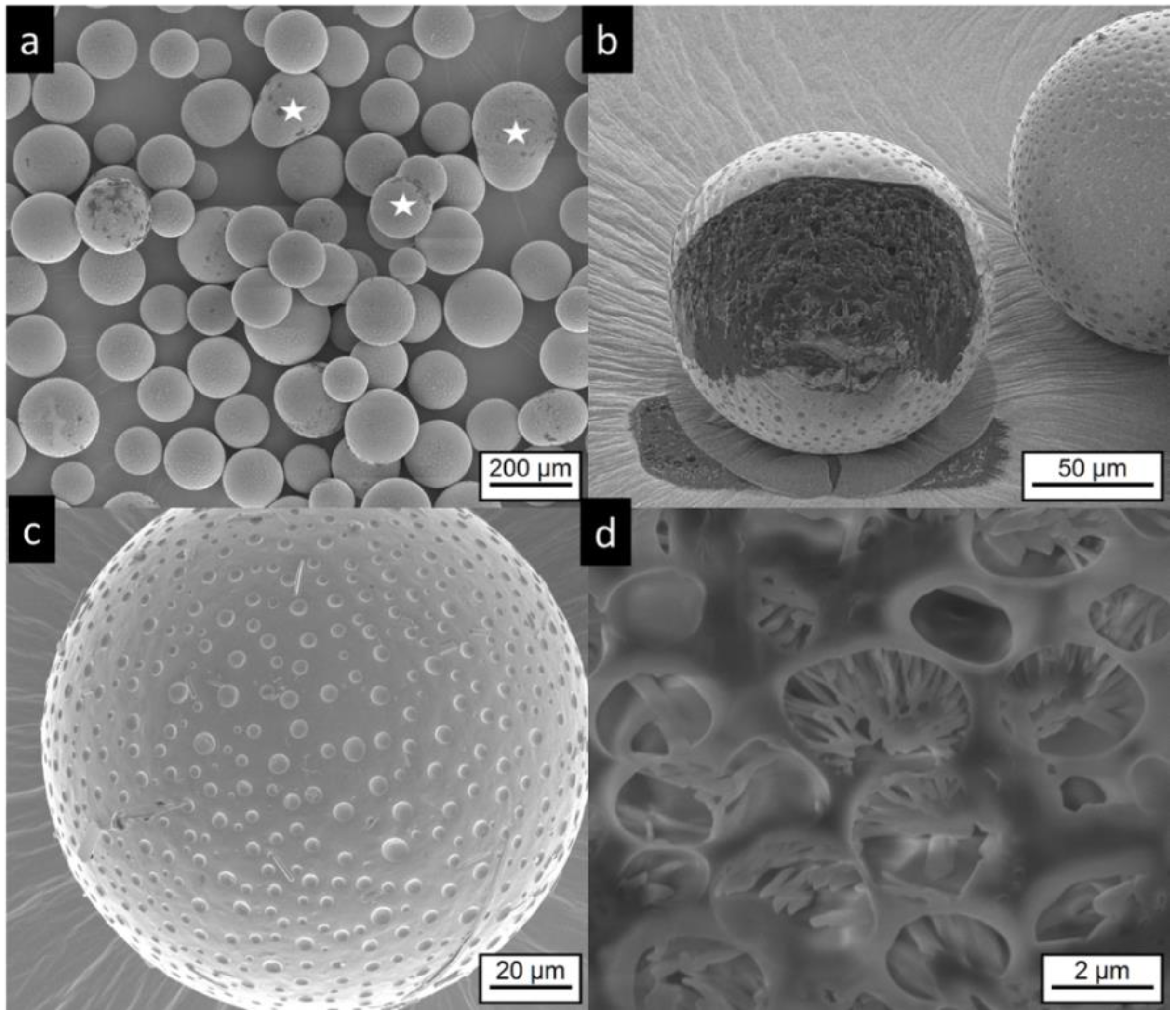 Pharmaceutics 11 00665 g004