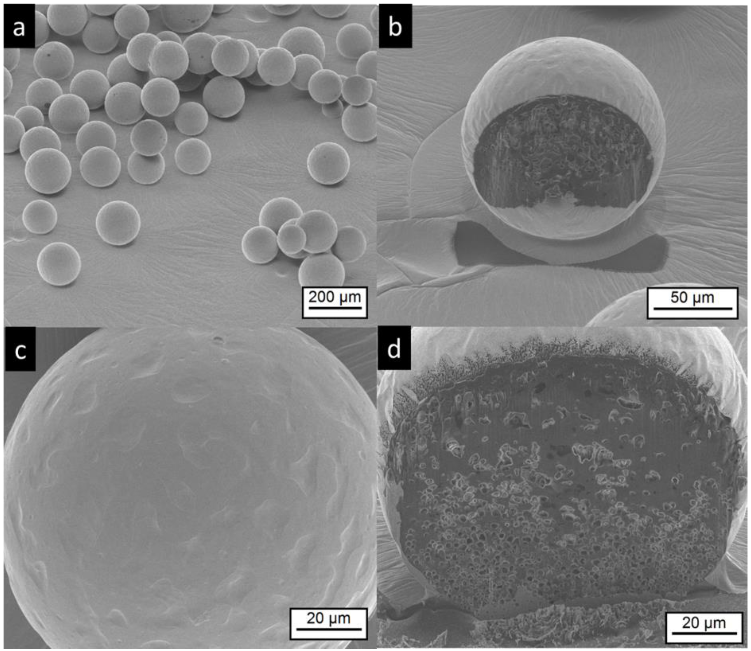 Pharmaceutics 11 00665 g005