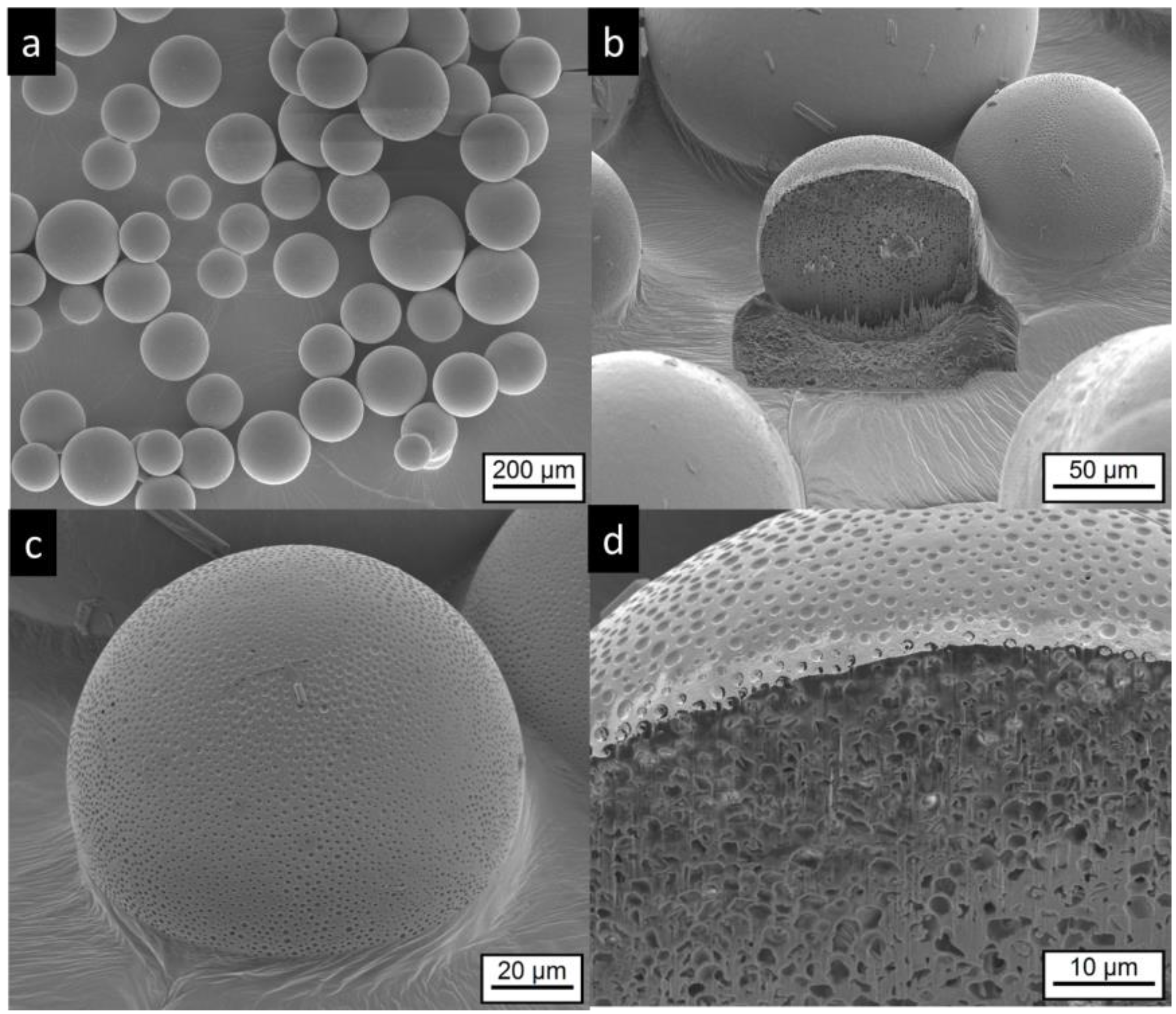 Pharmaceutics 11 00665 g006