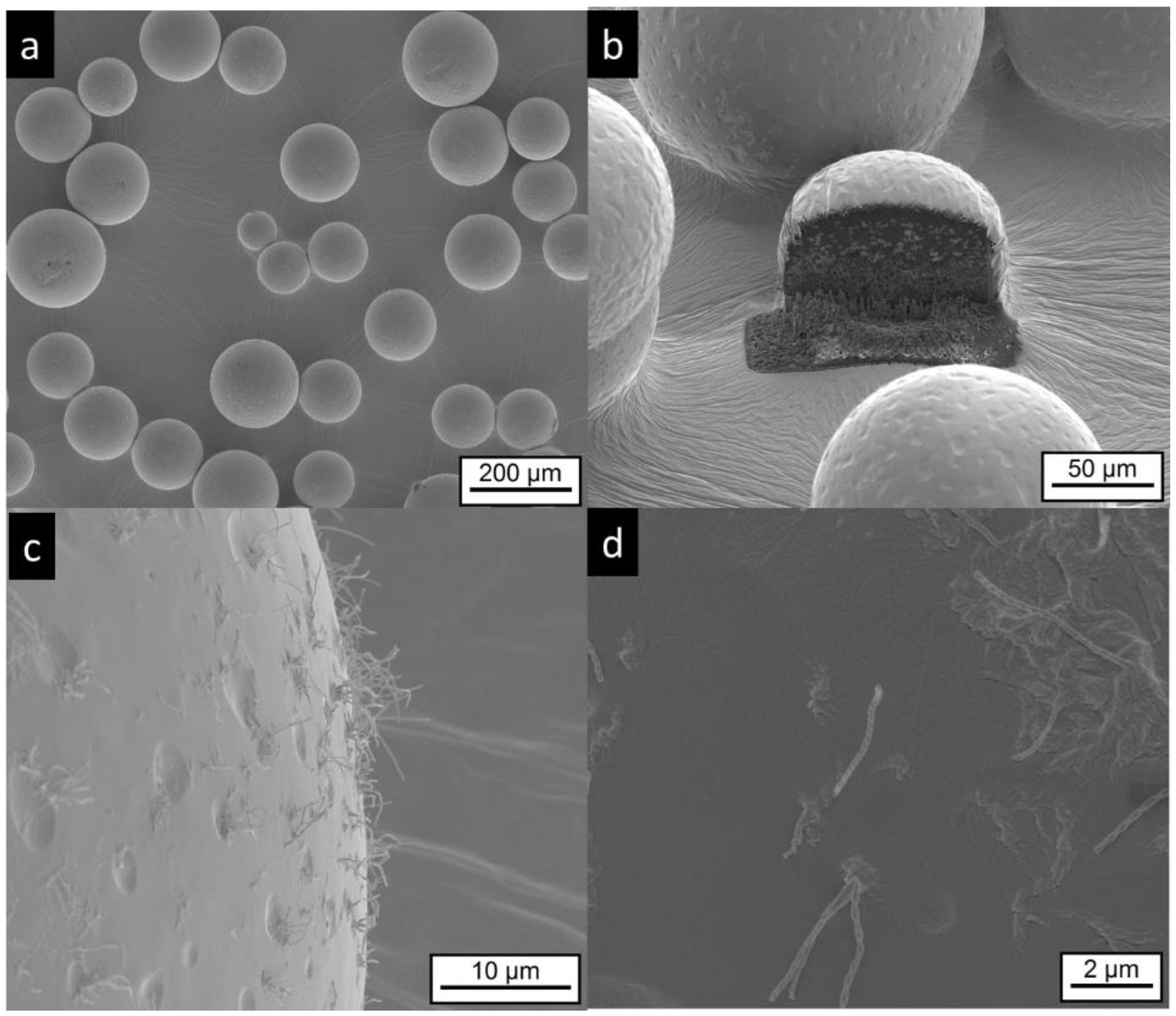 Pharmaceutics 11 00665 g007