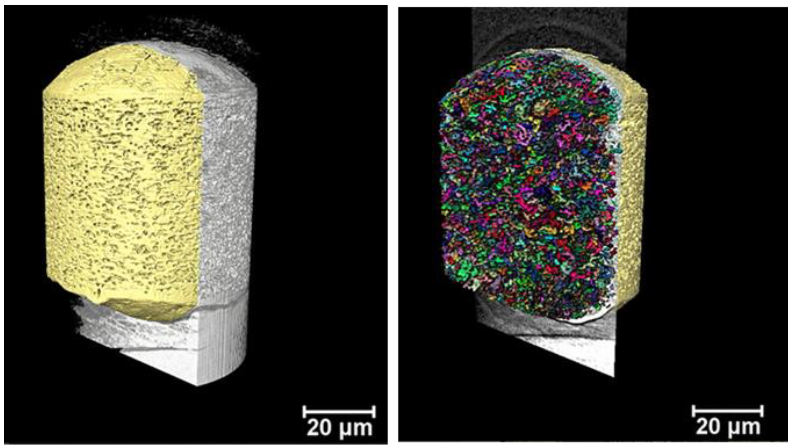 Pharmaceutics 11 00665 g009