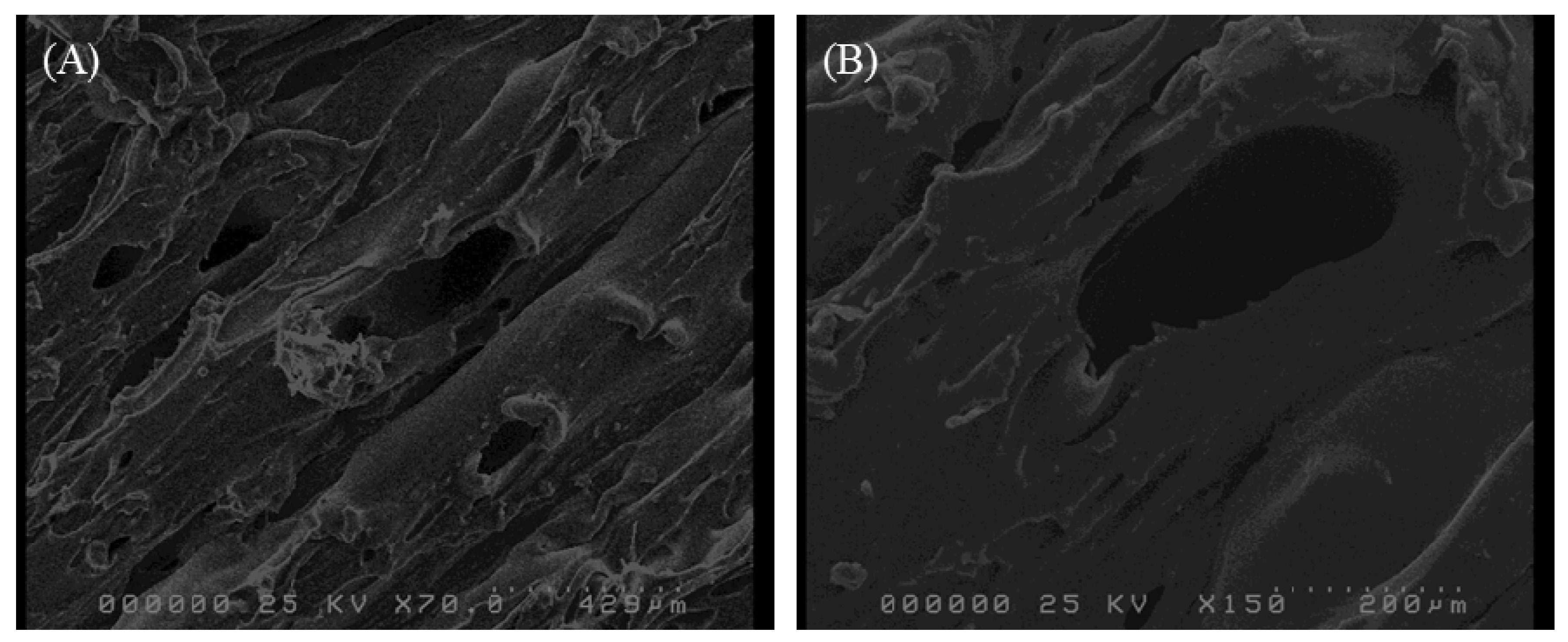 Pharmaceutics 11 00672 g003