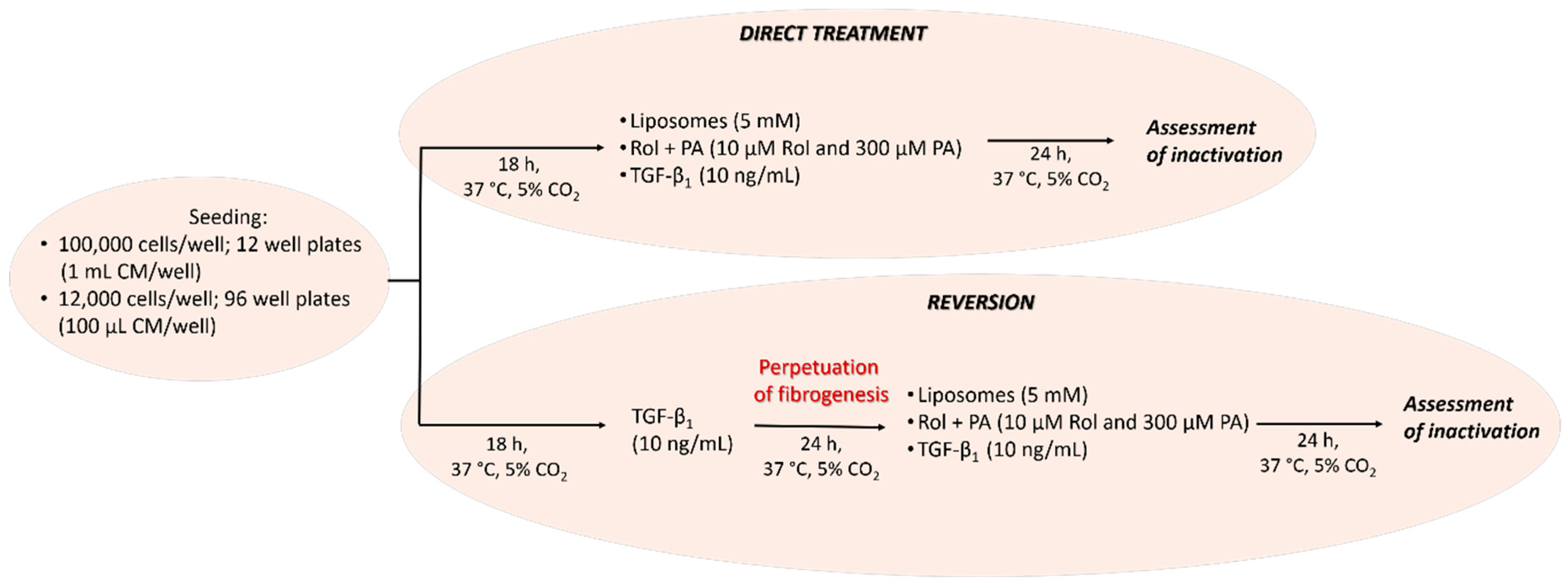 Pharmaceutics 11 00676 sch001