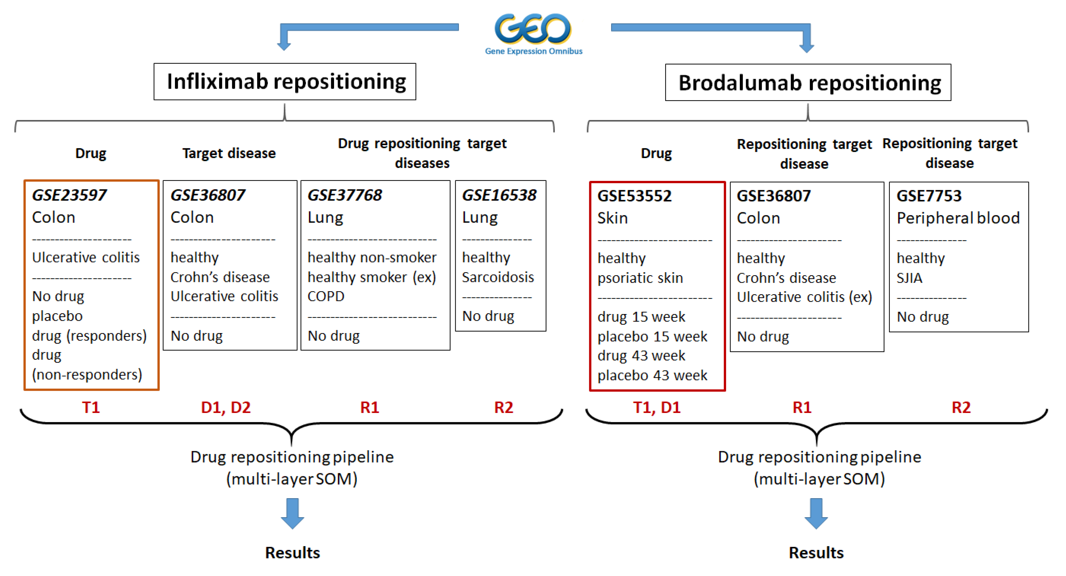 Pharmaceutics 11 00677 g001 Pharmaceutics 11 00677 g001