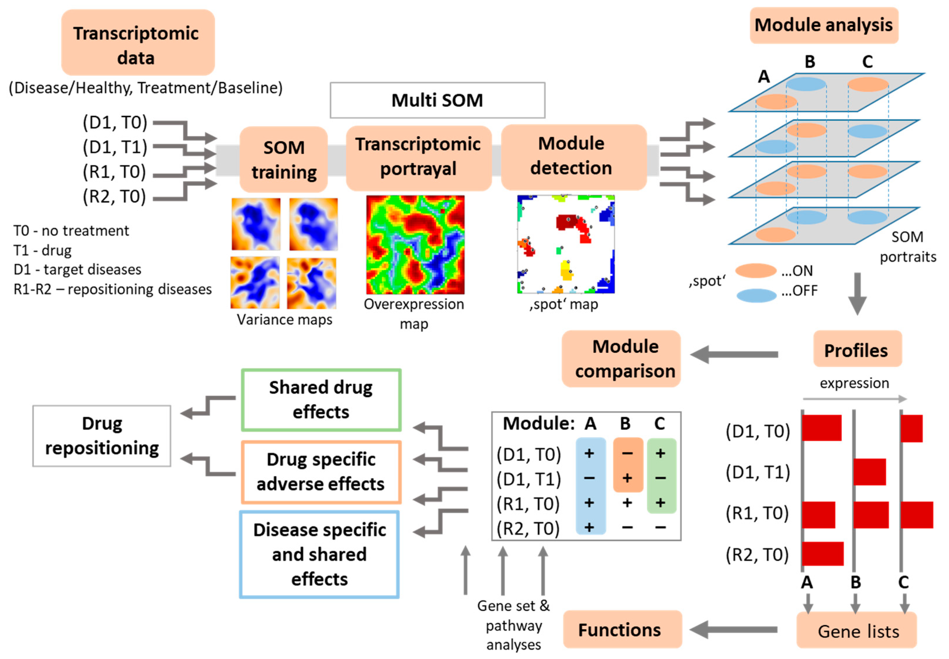 Pharmaceutics 11 00677 g002 Pharmaceutics 11 00677 g002