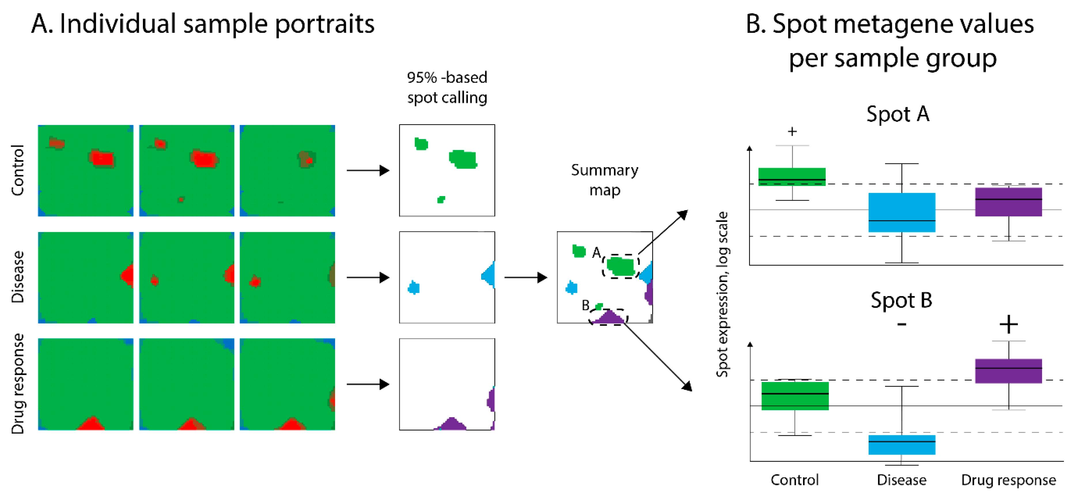 Pharmaceutics 11 00677 g003 Pharmaceutics 11 00677 g003