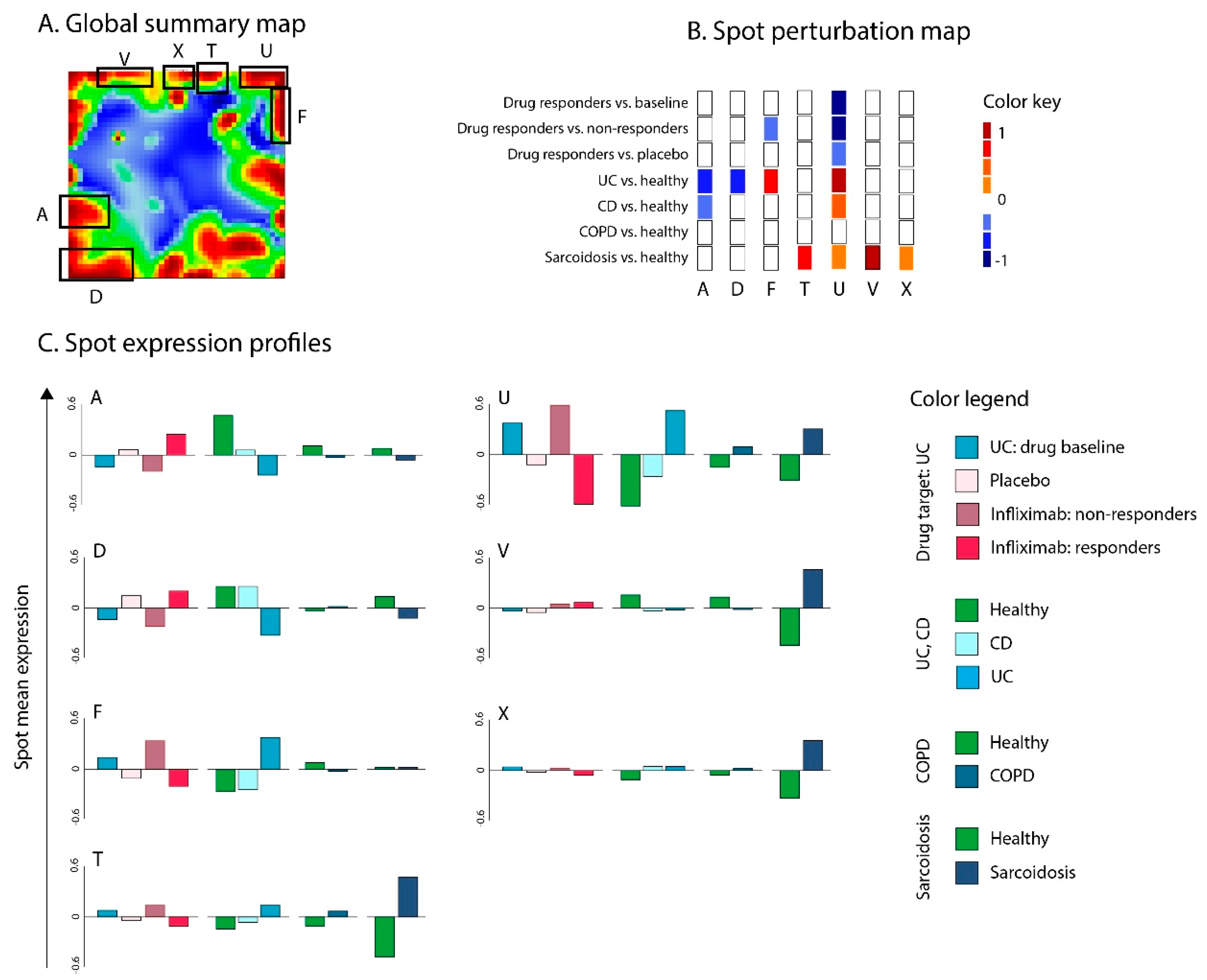 Pharmaceutics 11 00677 g007 Pharmaceutics 11 00677 g007