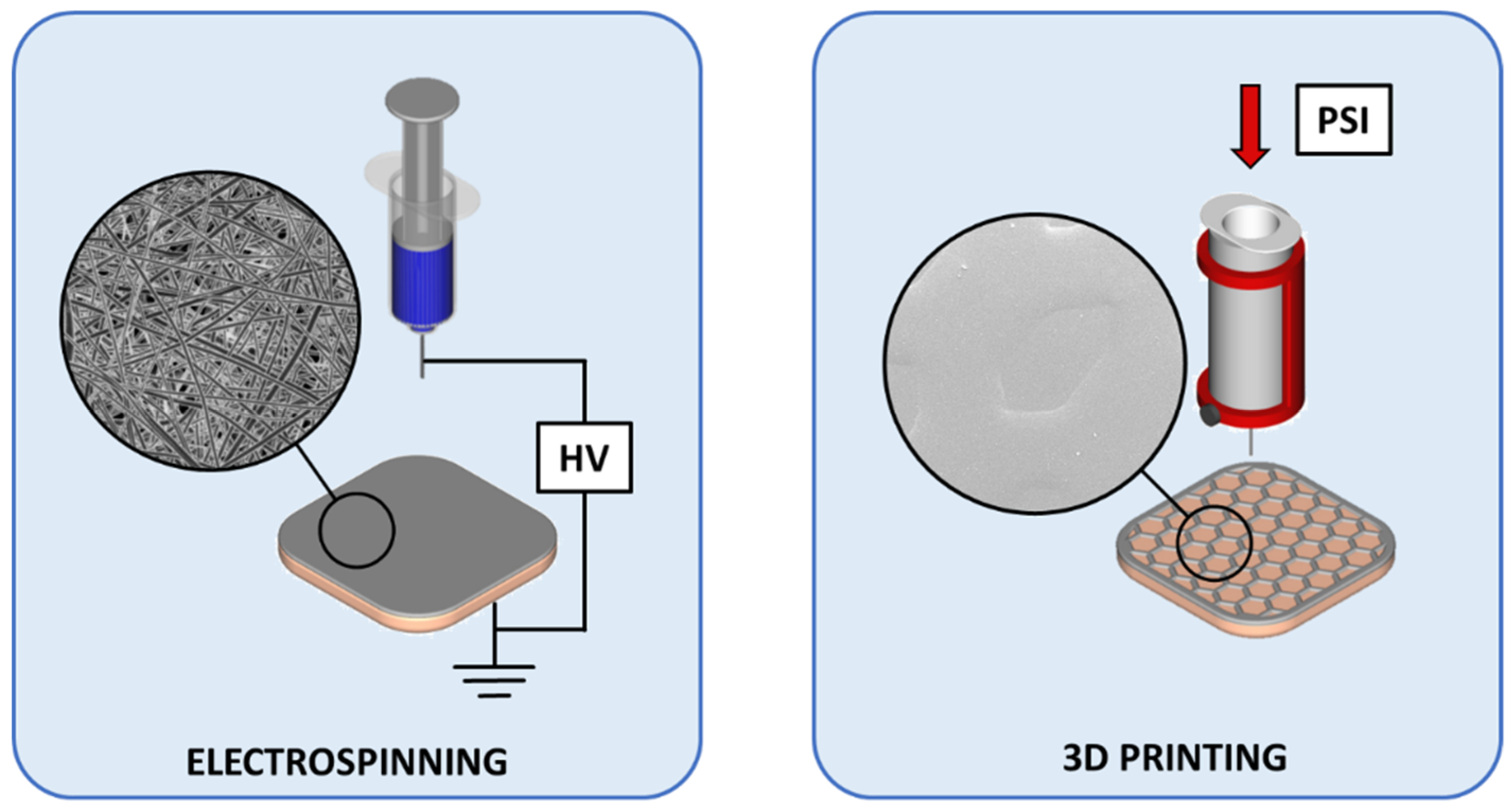Pharmaceutics 11 00678 g002