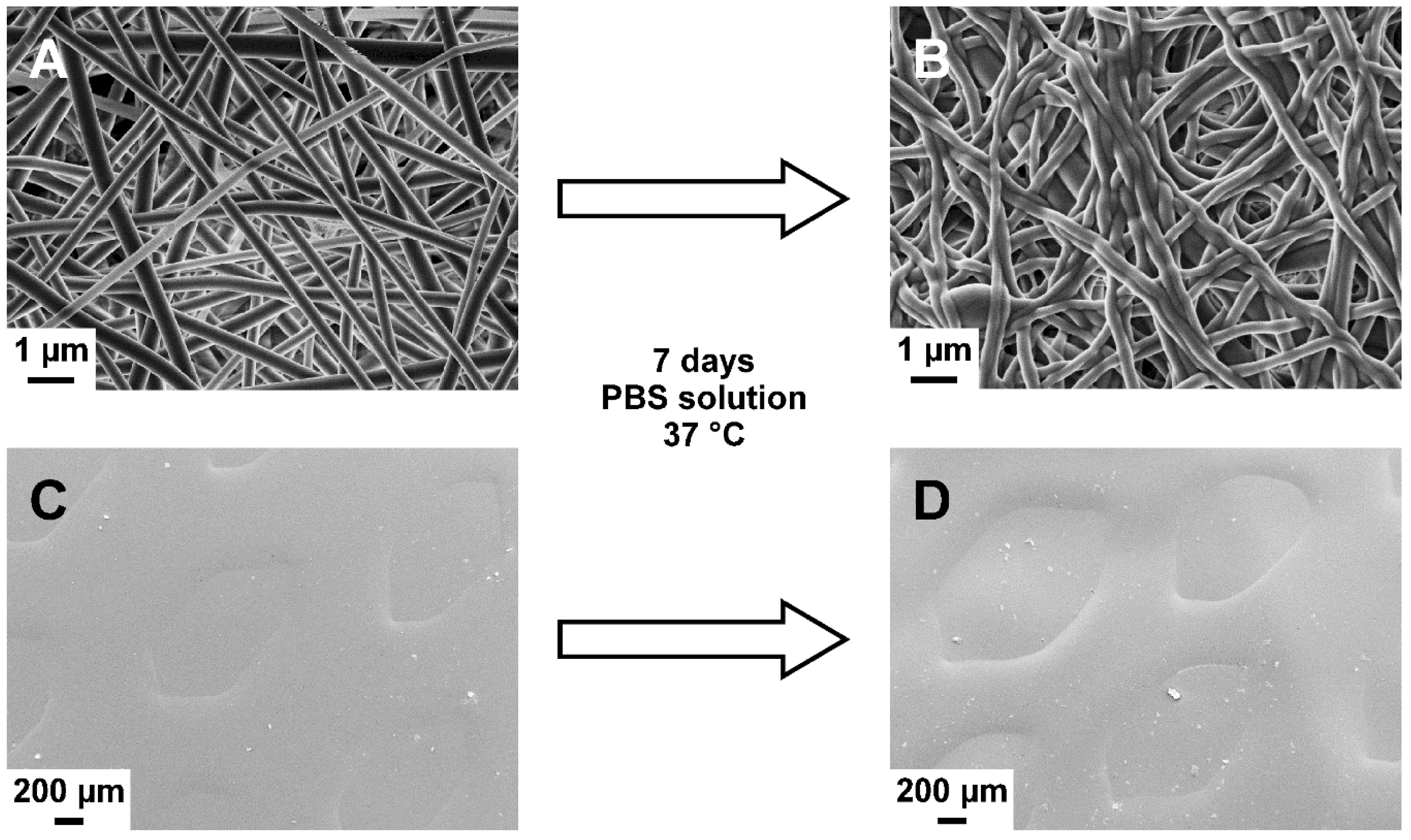Pharmaceutics 11 00678 g003