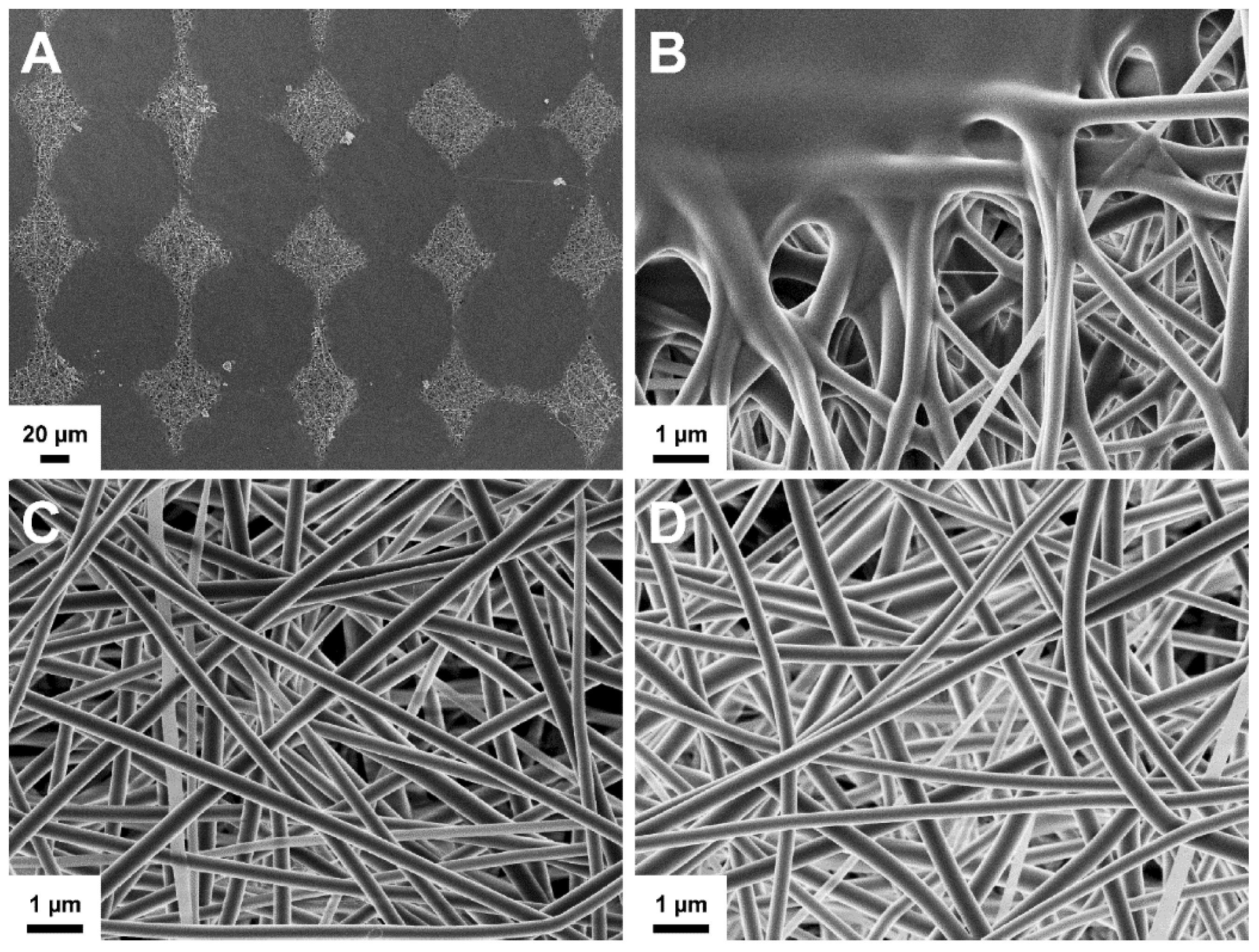 Pharmaceutics 11 00678 g009