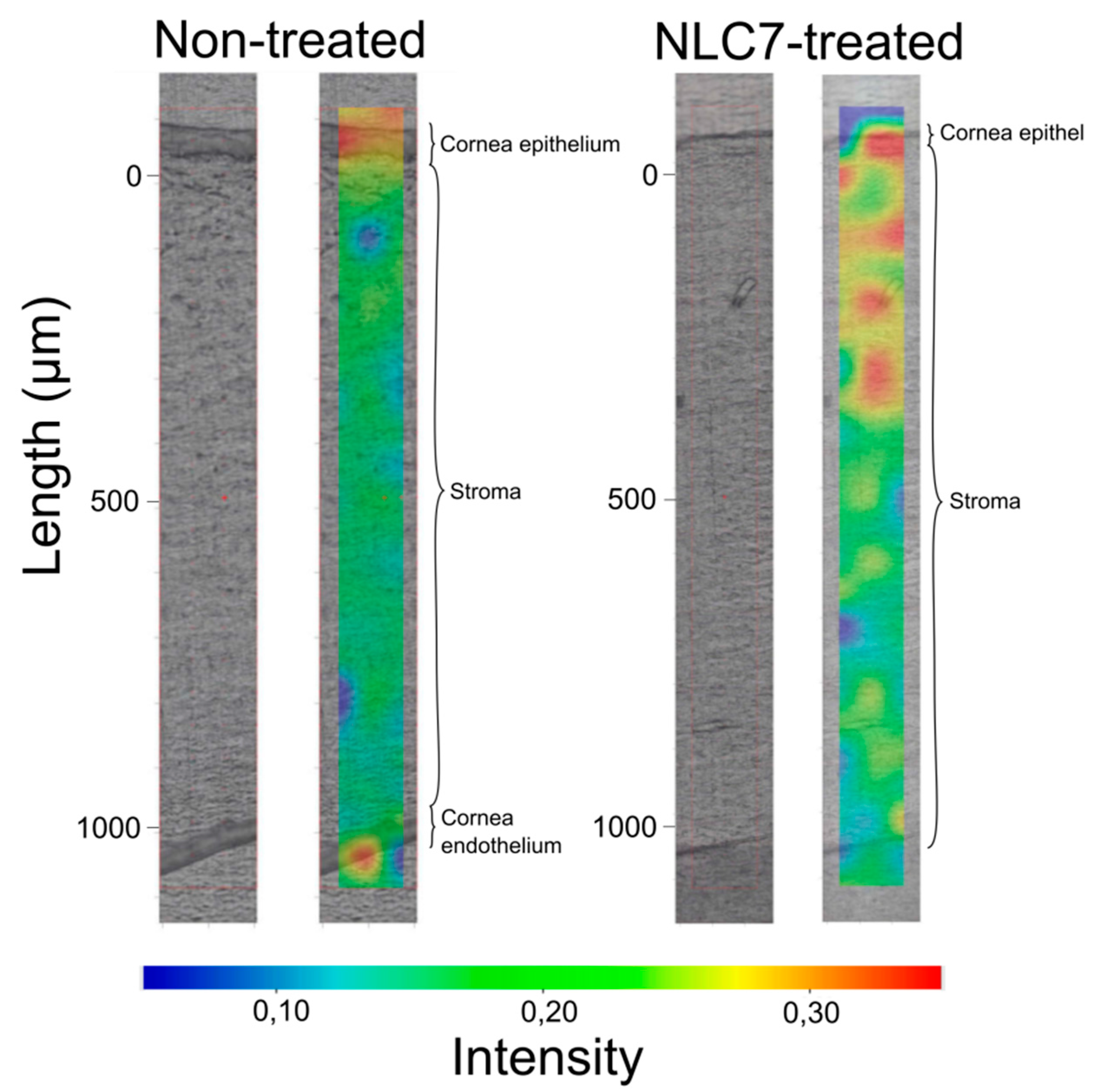 Pharmaceutics 11 00679 g005 Pharmaceutics 11 00679 g005