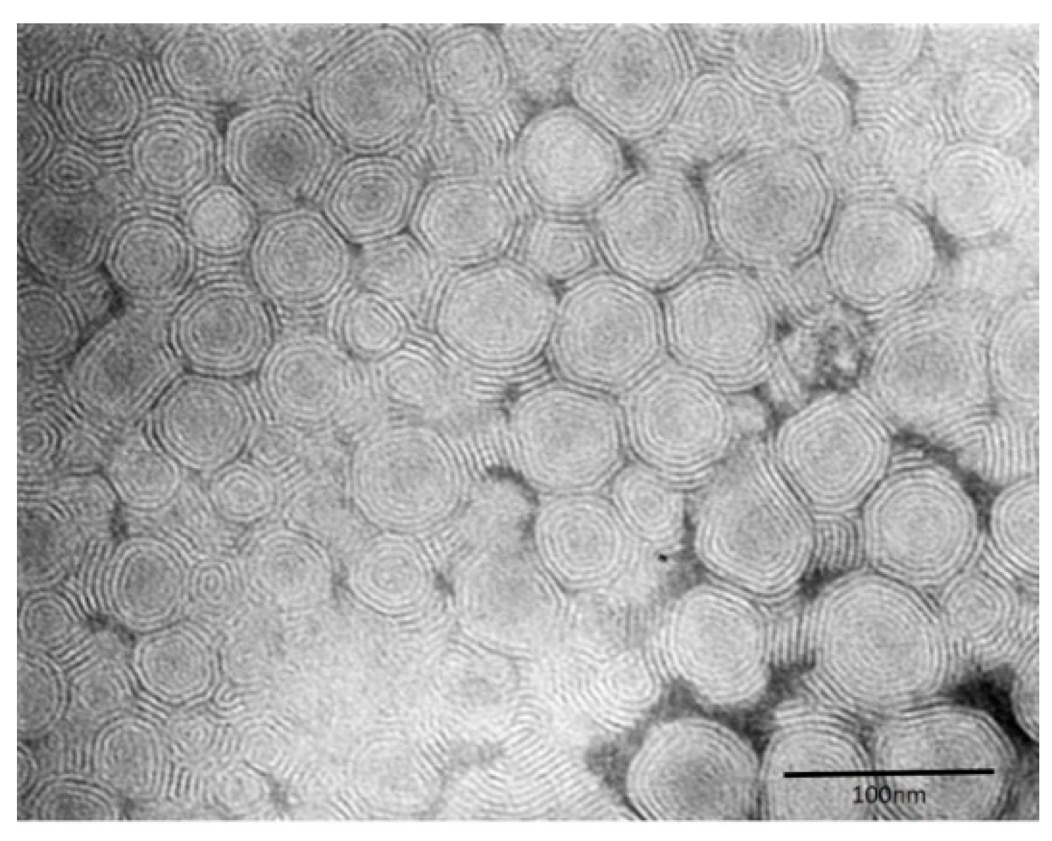 Pharmaceutics 11 00682 g002
