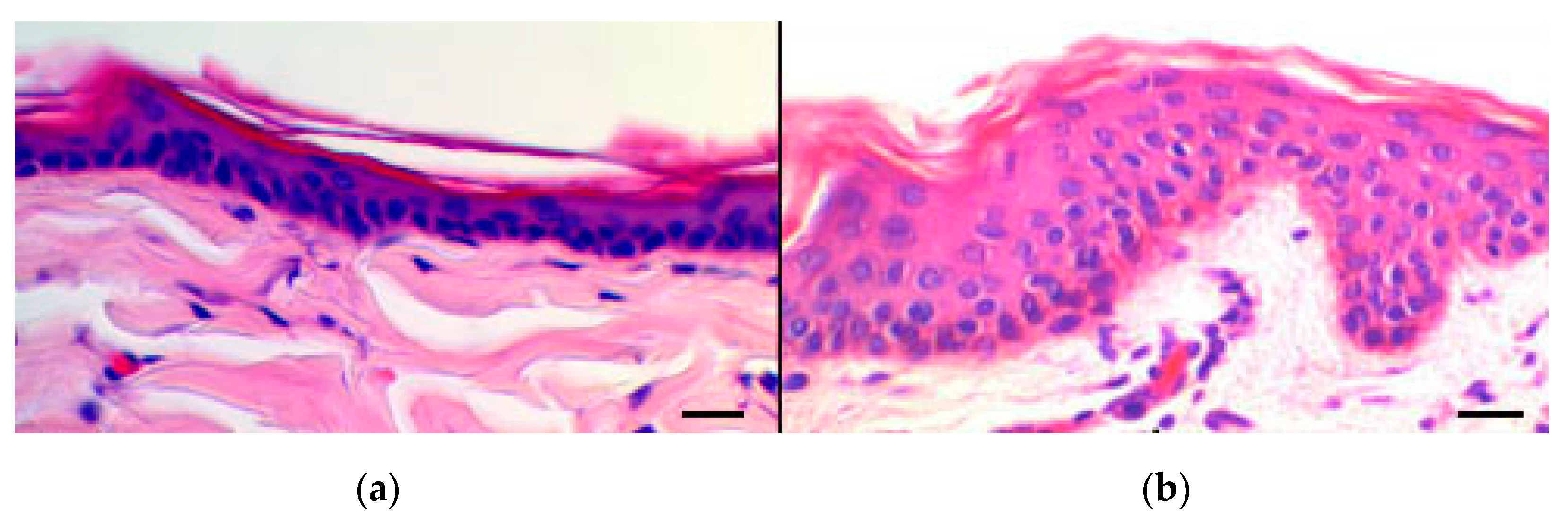 Pharmaceutics 11 00682 g007