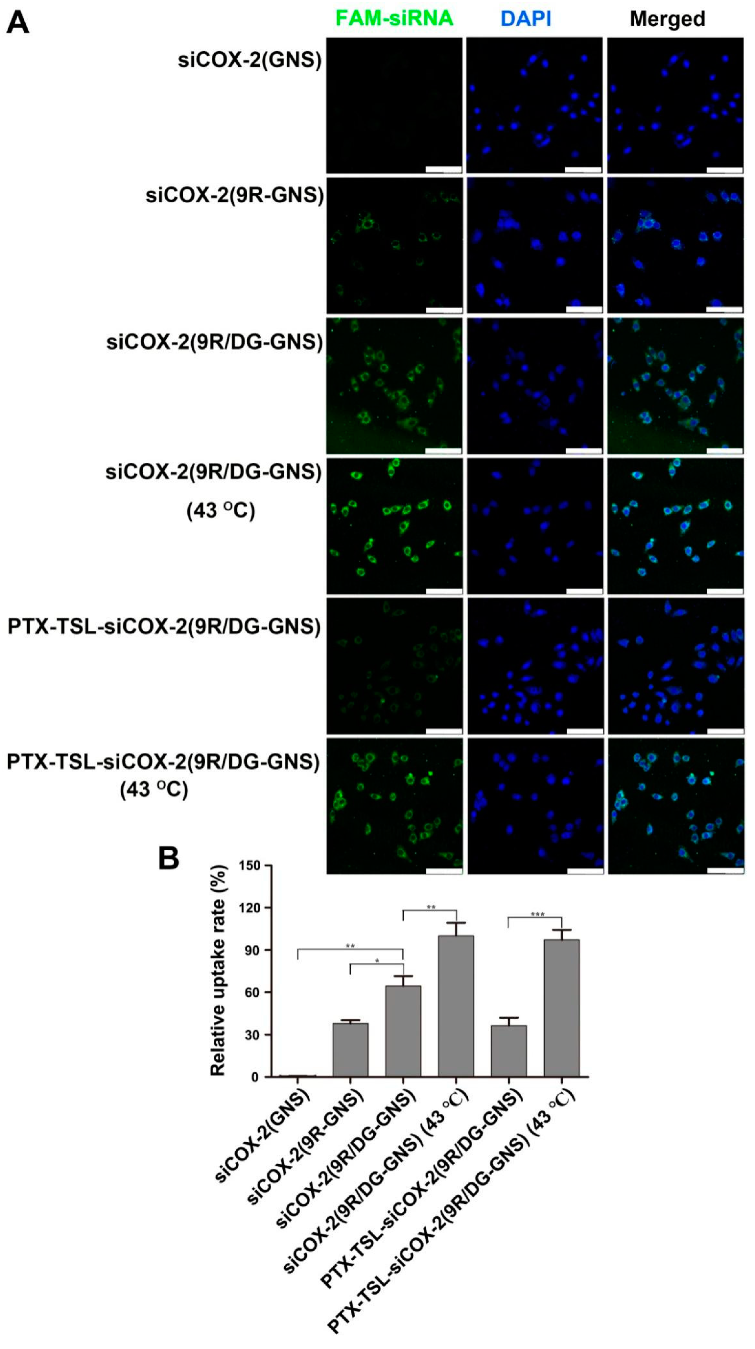 Pharmaceutics 11 00683 g005 Pharmaceutics 11 00683 g005