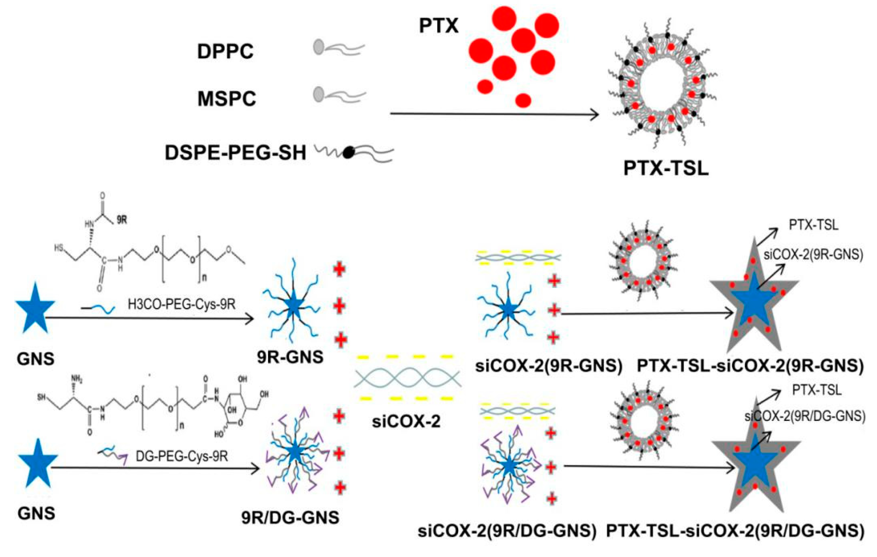 Pharmaceutics 11 00683 sch001 Pharmaceutics 11 00683 sch001