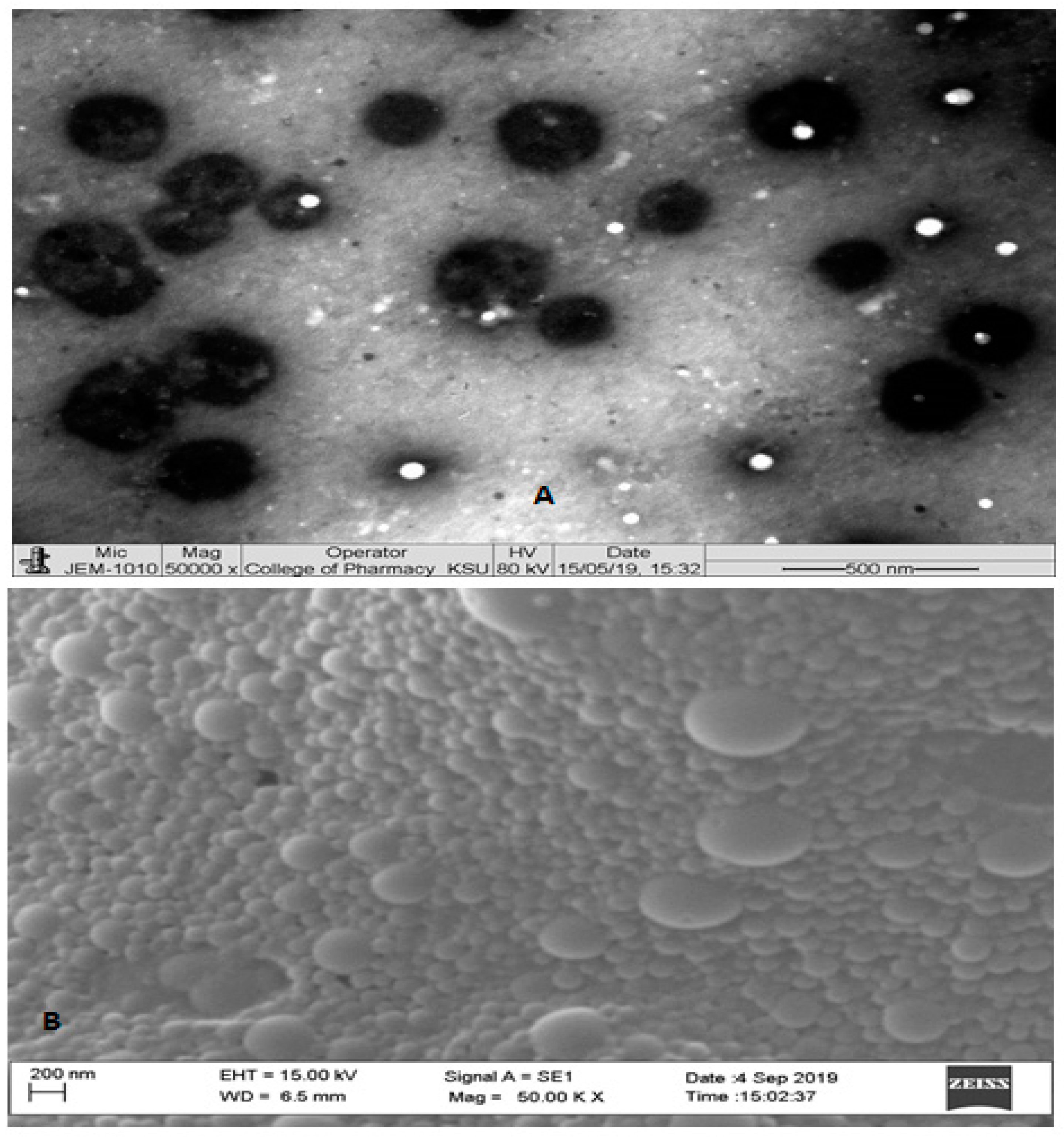 Pharmaceutics 11 00685 g003