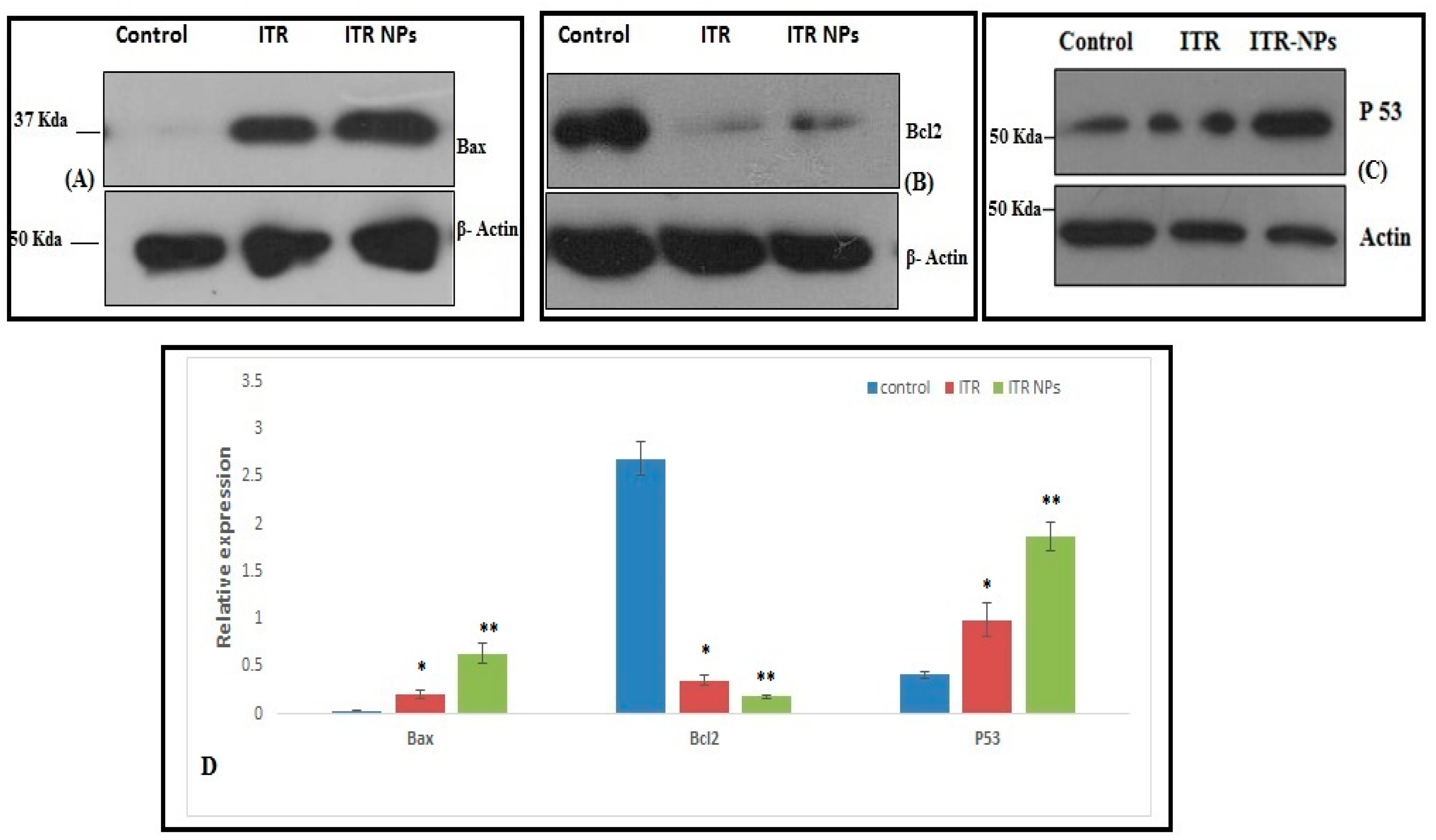 Pharmaceutics 11 00685 g010