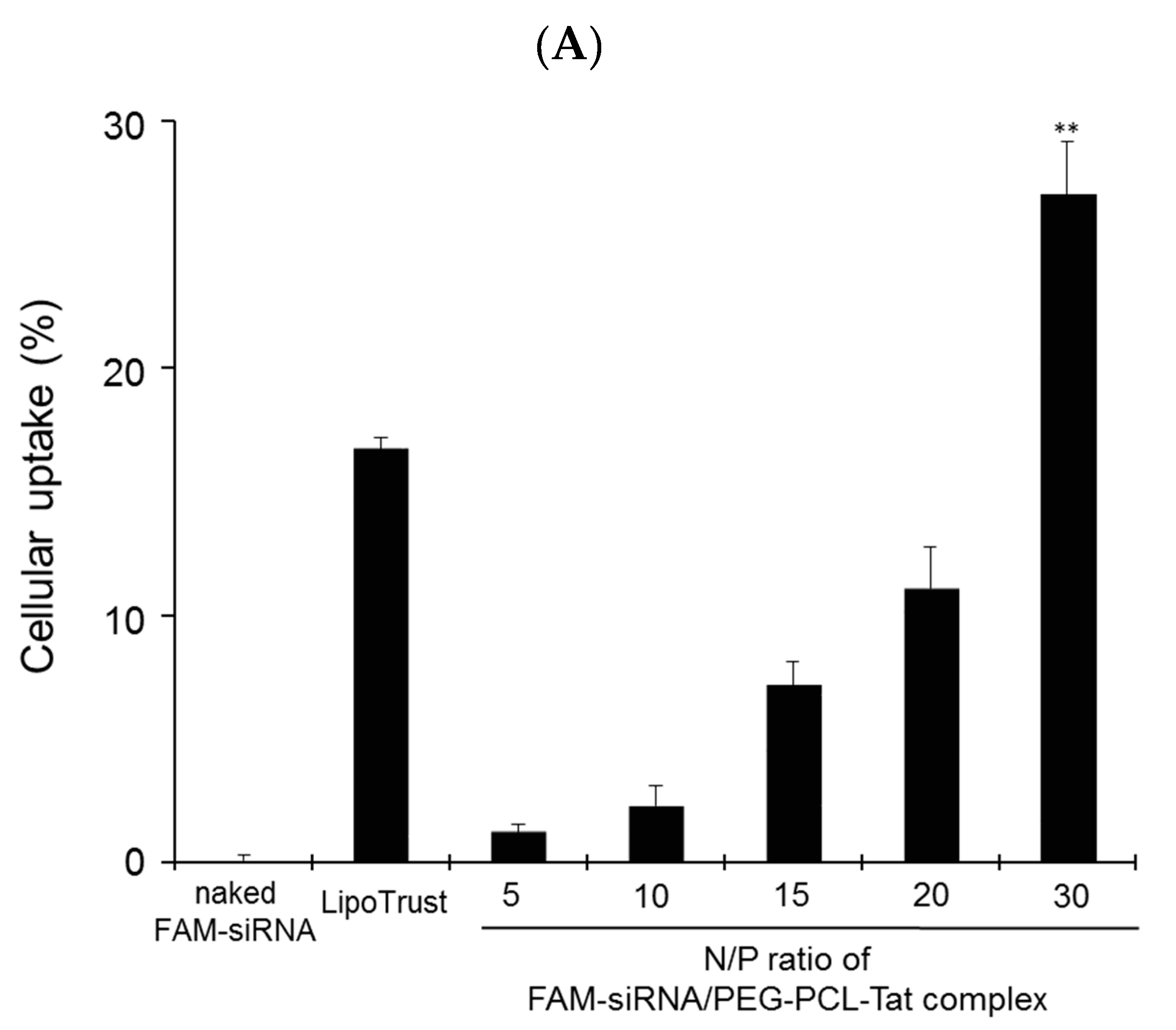 Pharmaceutics 11 00689 g002a Pharmaceutics 11 00689 g002a