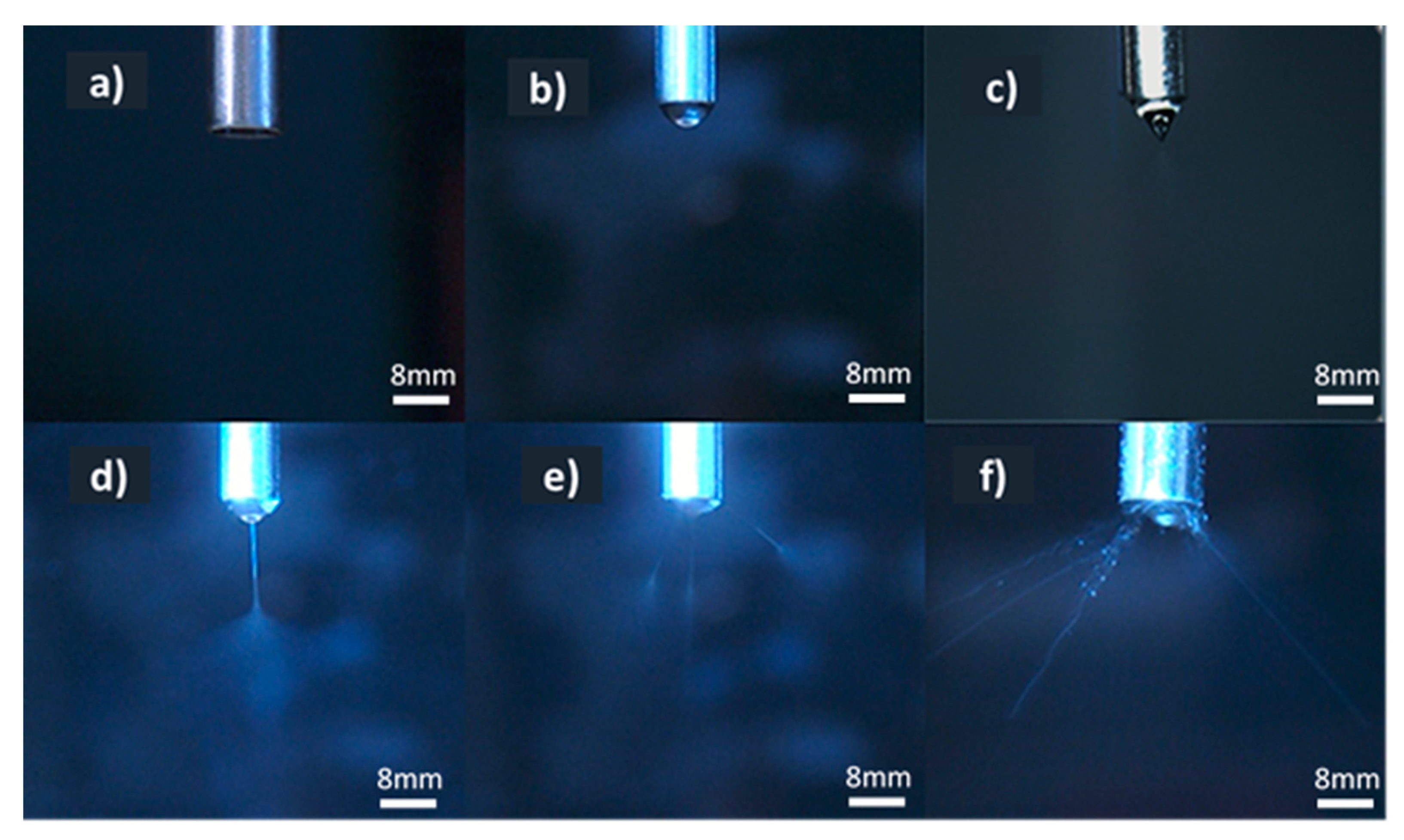 Pharmaceutics 12 00002 g001