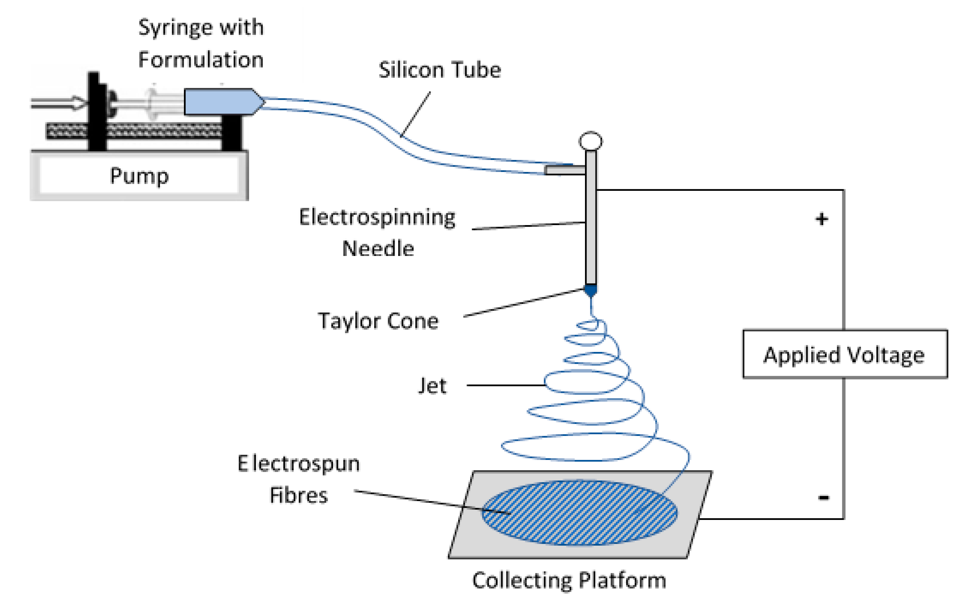 Pharmaceutics 12 00002 g002