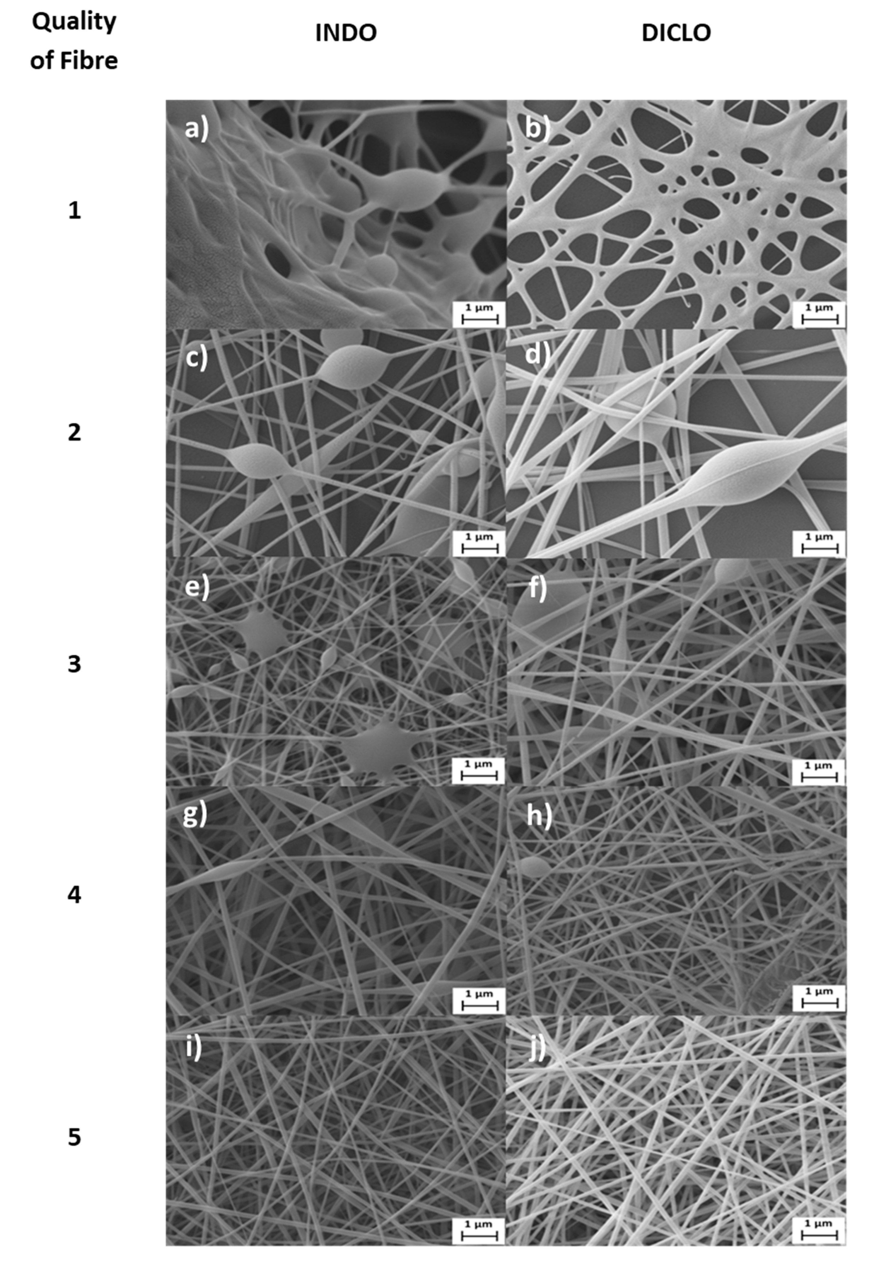 Pharmaceutics 12 00002 g009