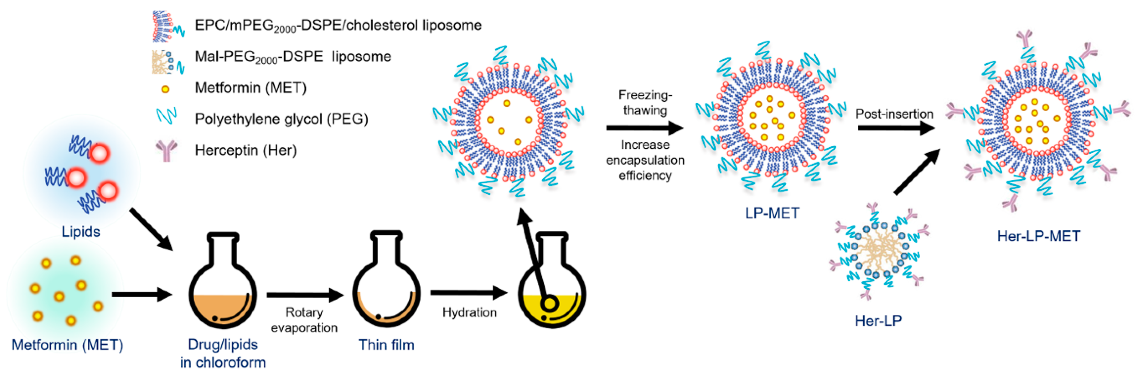 Pharmaceutics 12 00011 g001 Pharmaceutics 12 00011 g001